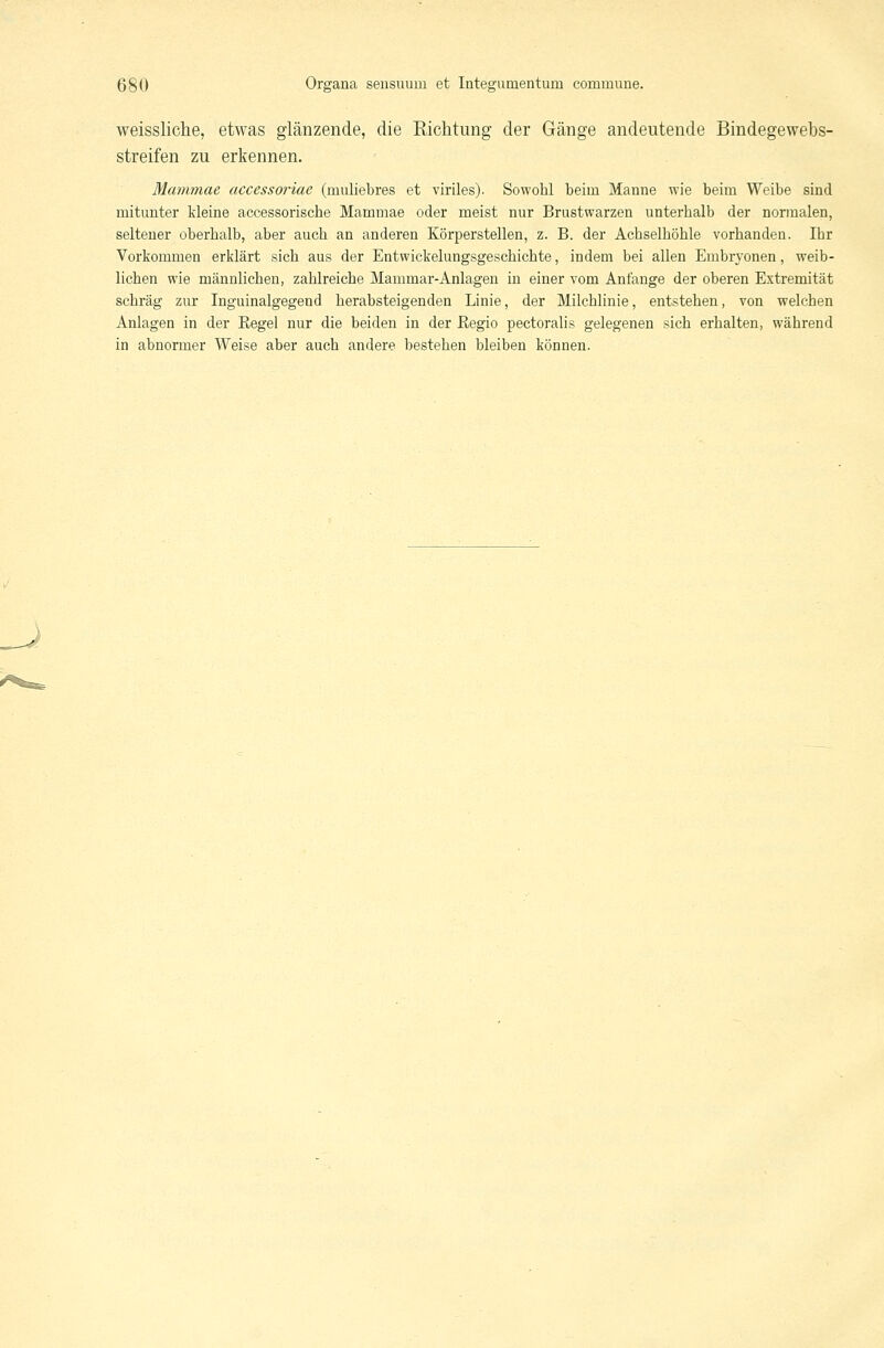 weissliche, etwas glänzende, die Richtung der Gänge andeutende Bindegewebs- streifen zu erkennen. Mammae accessoriae (muliebres et viriles). Sowohl beim Manne wie beim Weibe sind mitunter kleine accessorische Mammae oder meist nur Brustwarzen unterhalb der normalen, seltener oberhalb, aber auch an anderen Körperstellen, z. B. der Achselhöhle vorhanden. Ihr Vorkommen erklärt sich aus der Entwickelungsgeschichte, indem bei allen Embryonen, weib- lichen wie männlichen, zahlreiche Mammar-Anlagen in einer vom Anfange der oberen Extremität schräg zur Inguinalgegend herabsteigenden Linie, der Milchlinie, entstehen, von welchen Anlagen in der Eegel nur die beiden in der ßegio pectorah.s gelegenen sich erhalten, während in abnormer Weise aber auch andere bestehen bleiben können.