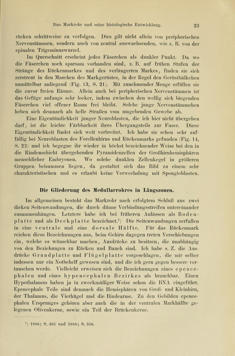 rücken schrittweise zu verfolgen. Dies gilt nicht allein von peripherischen Nervenstämmen; sondern auch von zentral auswachsenden, wie z. B. von der spinalen Trigeminuswurzel. Im Querschnitt erscheint jedes Fäserchen als dunkler Punkt. Da wo die Fäserchen noch sparsam vorhanden sind, z. B. auf frühen Stufen der Stränge des Rückenmarkes und des verlängerten Markes, finden sie sich zerstreut in den Maschen des Markgerüstes, in der Regel den Gerüstbälkchen unmittelbar anliegend (Fig. 13, S. 21). Mit zunehmender Menge erfüllen sie die zuvor freien Räume. Allein auch bei peripherischen Nervenstämmen ist das Gefüge anfangs sehr locker, indem zwischen den wellig sich biegenden Fäserchen viel offener Raum frei bleibt. Solche junge Nervenstämmchen heben sich demnach als helle Straßen vom umgebenden Gewebe ab. Eine Eigentümlichkeit junger Neuroblasteu, die ich hier nicht übergehen darf, ist die leichte Färbbarkeit ihres Übergangsteils zur Faser. Diese Eigentümlichkeit findet sich weit verbreitet. Ich habe sie schon sehr auf- fällig bei Neuroblasten des Forellenhirns und Rückenmarks gefunden (Fig. 14, S. 22) und ich begegne ihr wieder in höchst bezeichnender Weise bei den in die Rindenschicht übergehenden Pyramidenzellen der Großhirnhemisphären menschlicher Embryonen. Wo solche dunklen Zellenkegel in größeren Gruppen beisammen liegen, da gestaltet sich das Bild zu einem sehr charakteristischen und es erlaubt keine Verwechslung mit Spongioblasten. Die Gliederung des Medullarrolires in Längszonen. Im allgemeinen besteht das Markrohr nach erfolgtem Schluß aus zwei dicken Seitenwaudungen, die durch dünne Verbindungsstreifen untereinander zusammenhängen. Letztere habe ich bei früheren Anlässen als Boden- platte und als Deckplatte bezeichnet.^) Die Seitenwandungen zerfallen in eine ventrale und eine dorsale Hälfte. Für das Rückenmark reichen diese Bezeichnungen aus, beim Gehirn dagegen treten Verschiebungen ein, welche es wünschbar machen. Ausdrücke zu besitzen, die unabhängig von den Beziehungen zu Rücken und Bauch sind. Ich habe s. Z. die Aus- drücke Grundplatte und F1 ü g e 1 p 1 a 11 e vorgeschlagen, die mir selber indessen nur ein Notbehelf gewesen sind, und die ich gern gegen bessere ver- tauschen werde. Vielleicht erweisen sieh die Bezeichnungen eines epence- phalen und eines hypencephalen Bezirkes als brauchbar. Einen Hypothalamus haben ja in zweckmäßiger Weise schon die BNA eingeführt. Epencephale Teile sind demnach die Hemisphären von Groß- und Kleinhirn, der Thalamus, die Vierhügel und die Bindearme. Zu den Gebilden epence- phalen Ursprunges gehören aber auch die in der ventralen Markhälfte ge- legenen Olivenkerne, sowie ein Teil der Brückenkerue. ^) 1886; S. 483 und 1888; S. 350.