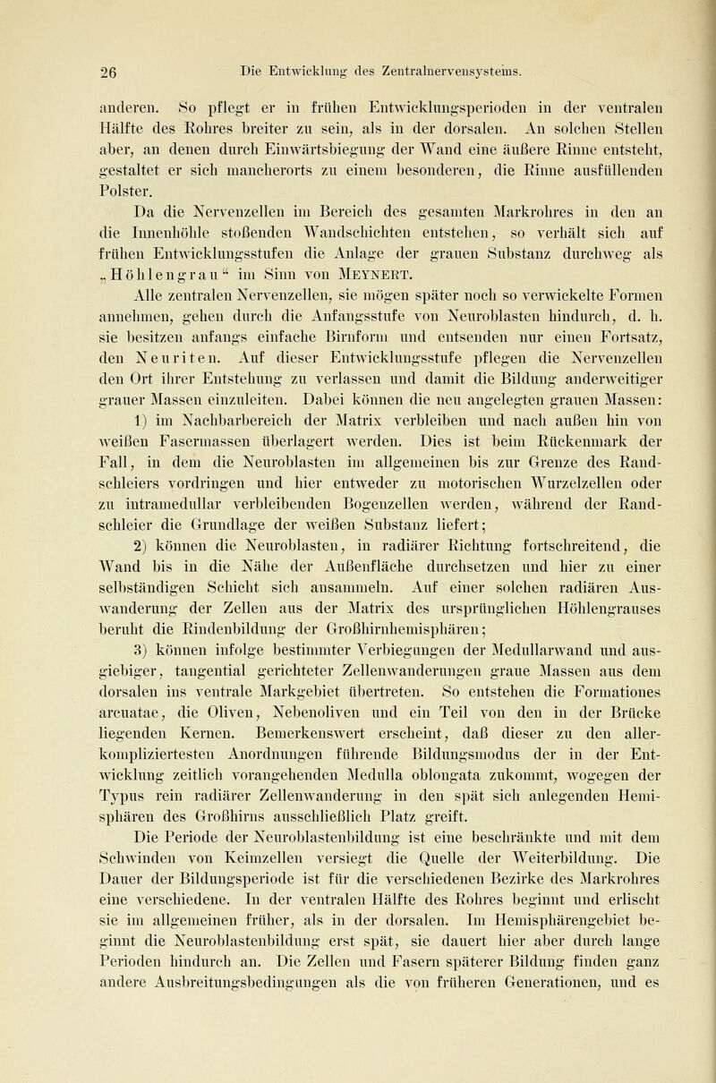 anderen. So pflegt er in frühen Entwicklungsperioden in der ventralen Hälfte des Eolires breiter zu sein, als in der dorsalen. An solchen Stellen aber, an denen durch Einwärtsbiegung- der Wand eine äußere Rinne entsteht, gestaltet er sich mancherorts zu einem besonderen, die Rinne ausfüllenden Polster. Da die Nervenzellen im Bereich des gesamten Markrohres in den an die Innenhöhle stoßenden Wandschichten entstehen, so verhält sich auf frühen Entwicklungsstufen die Anlage der grauen Substanz durchweg als ,, H ö h 1 e n g r a u  im Sinn von Meyneet. Alle zentralen Nervenzellen, sie mögen später noch so verwickelte Formen annehmen, gehen durch die Anfangsstufe von Neuroblasten hindurch, d. h. sie besitzen anfangs einfache Birnform und entsenden nur einen Fortsatz, den Neuriten. Auf dieser Entwicklungsstufe pflegen die Nervenzellen den Ort ihrer Entstehung zu verlassen und damit die Bildung anderweitiger grauer Massen einzuleiten. Dabei können die neu angelegten grauen Massen: 1) im Nachbarbereich der Matrix verbleiben und nach außen hin von weißen Fasermassen überlagert werden. Dies ist beim Rückenmark der Fall, in dem die Neuroblasten im allgemeinen bis zur Grenze des Rand- schleiers vordringen und hier entweder zu motorischen Wurzelzellen oder zu intramedullar verbleibenden Bogenzellen werden, während der Rand- schleier die Grundlage der weißen Substanz liefert; 2) können die Neuroblasten, in radiärer Richtung fortschreitend, die Wand bis in die Nähe der Außenfläche durchsetzen und hier zu einer selbständigen Schicht sich ansammeln. Auf einer solchen radiären Aus- wanderung der Zellen aus der Matrix des ursprünglichen Höhlengrauses beruht die Rindenbildung der Großhirnhemisphären; 3) können infolge bestimmter Verbiegiingen der Medullarwand und aus- giebiger, tangential gerichteter Zellenwanderungen graue Massen aus dem dorsalen ins ventrale Markgebiet übertreten. So entstehen die Formationes arcuatae, die Oliven, Nebenoliven und ein Teil von den in der Brücke liegenden Kernen. Bemerkenswert erscheint, daß dieser zu den aller- kompliziertesten Anordnungen führende Bildungsmodus der in der Ent- wicklung zeitlich vorangehenden Medulla oblongata zukommt, wogegen der Typus rein radiärer Zellenwanderung in den spät sich anlegenden Hemi- sphären des Großhirns ausschließlich Platz greift. Die Periode der Neuroblastenbildung ist eine beschränkte und mit dem Schwinden von Keimzellen versiegt die Quelle der Weiterbildung. Die Dauer der Bildungsperiode ist für die verschiedenen Bezirke des Markrohres eine verschiedene. In der ventralen Hälfte des Rohres beginnt und erlischt sie im allgemeinen früher, als in der dorsalen. Im Hemisphärengebiet be- ginnt die Neuroblastenbildung erst spät, sie dauert hier aber durch lange Perioden hindurch an. Die Zellen und Fasern späterer Bildung finden ganz andere Ausbreitungsbedingiingen als die von früheren Generationen, und es