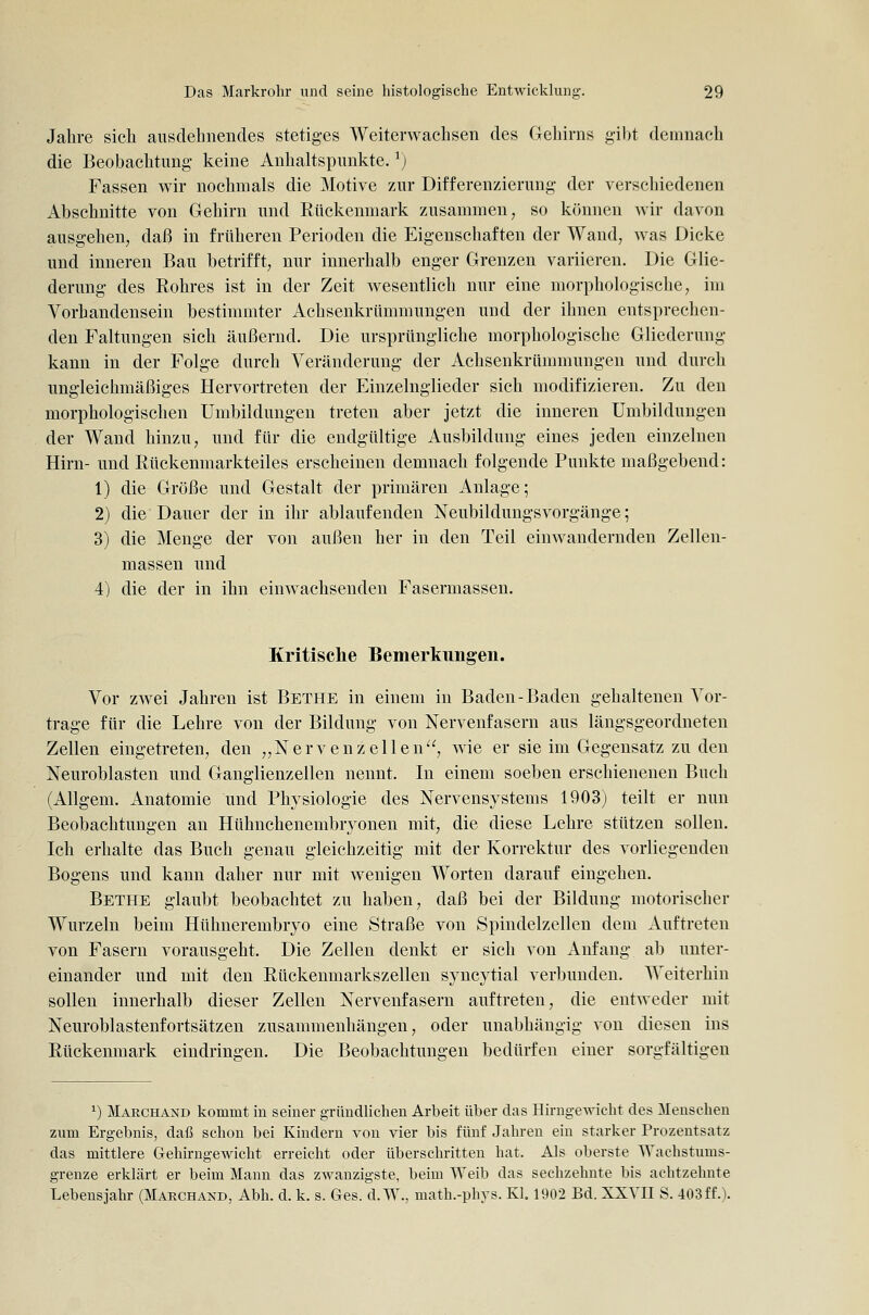 Jahre sich ausdehnendes stetiges Weiterwachsen des Gehirns gibt demnach die Beobachtung- keine Anhaltspunkte. ^) Fassen wir nochmals die Motive zur Differenzierung der verschiedenen Abschnitte von Gehirn und Rückenmark zusammen, so können wir davon ausgehen, daß in früheren Perioden die Eigenschaften der Wand, was Dicke und inneren Bau betrifft, nur innerhalb enger Grenzen variieren. Die Glie- derung des Rohres ist in der Zeit wesentlich nur eine morphologische, im Vorhandensein bestimmter Achsenkrümmungen und der ihnen entsprechen- den Faltungen sich äußernd. Die ursprüngliche morphologische Gliederung kann in der Folge durch Veränderung der Achsenkrümmungen und durch ungleichmäßiges Hervortreten der Einzelnglieder sich modifizieren. Zu den morphologischen Umbildungen treten aber jetzt die inneren Umbildungen der Wand hinzu, und für die endgültige Ausbildung eines jeden einzelnen Hirn- und Rückenmarkteiles erscheinen demnach folgende Punkte maßgebend: 1) die Größe und Gestalt der primären Anlage; 2) die Dauer der in ihr ablaufenden Neubildungsvorgänge; 3) die Menge der von außen her in den Teil einwandernden Zellen- massen und 4) die der in ihn einwachsenden Fasermassen. Kritische Bemerkungen. Vor zwei Jahren ist Bethe in einem in Baden-Baden gehaltenen Vor- trage für die Lehre von der Bildung von Nervenfasern aus längsgeordneten Zellen eingetreten, den „Nervenzellen, wie er sie im Gegensatz zu den Neuroblasten und Ganglienzellen nennt. In einem soeben erschienenen Buch (Allgem. Anatomie und Physiologie des Nervensystems 1903) teilt er nun Beobachtungen an Hühnchenembryonen mit, die diese Lehre stützen sollen. Ich erhalte das Buch genau gleichzeitig mit der Korrektur des vorliegenden Bogens und kann daher nur mit wenigen Worten darauf eingehen. Bethe glaubt beobachtet zu haben, daß bei der Bildung motorischer Wurzeln beim Htthnerembryo eine Straße von Spindelzellen dem Auftreten von Fasern vorausgeht. Die Zellen denkt er sich von Anfang ab unter- einander und mit den Rückenmarkszellen syncytial verbunden. Weiterhin sollen innerhalb dieser Zellen Nervenfasern auftreten, die entweder mit Neuroblastenfortsätzen zusammenhängen, oder unabhängig von diesen ins Rückenmark eindringen. Die Beobachtungen bedürfen einer sorgfältigen ^) Marchand kommt in seiner gründlichen Arbeit über das Hirngewicht des Menschen zum Ergebnis, daß schon bei Kindern von vier bis fünf Jahren ein starker Prozentsatz das mittlere Gehirngewicht erreicht oder überschritten hat. Als oberste Wachstums- grenze erklärt er beim Mann das zwanzigste, beim Weib das sechzehnte bis achtzehnte Lebensjahr (Maechand, Abh. d. k. s. Ges. d.W., math.-phys. Kl. 1902 Bd. XXYII S. 403ff.).