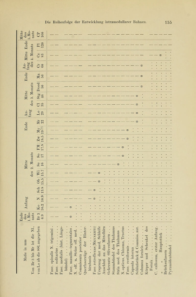 Mitte des S.Mo- nats CP 160 -- -- -- -- - - -- -- -- -- ■ Mitte 4. Moi Cc 83 . ^P OS o o onats Doed 50 o Mitt( 3. M Stg 46 o ^ O^ s ^1 =4^ . o . o ^2 o o o  o - t^ S 0 0 . . -O ' _ o Sch Ob 13.8 15.5 o — _o : _ o ; ä o «^ o   Ende des I.Mo- nats Br 3 6.9 o • • ... Maße in mm Von Br 3 bis Mr ist die NL, vonLo ab die SSI. angegeben oo 'S ■ '^ s : =1 'C • ■*^ +^ • .s 111 Ä O Q a 32 t/2 ö r^ . c O O O :- 02 tZ2 32 ^ CS CS c3 ^ 1^ P^ Ph « ^ . -2 . ^ s :e i^.:i Jil = =*-'•. • s . S ■^ rt o '. § S ^ 2 ^ 1 =S .2 ^ -* ^^ ■> OD * g O '— oo ür ^ fS ;z 6 5 f^ 6 < or c; =(- 1 oc c: cl er c c; or oc H 'il 2 II '-3 h or or c ■l -s. X c b < ä C 7 s; - c > ■^