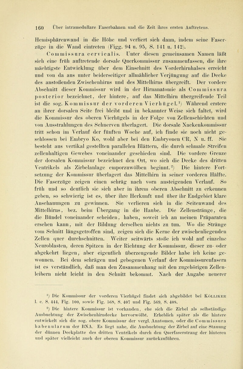 Hemisphärenwaiid in die Höhe und verliert sieb dann, indem seine Faser- züg-e in die Wand eintreten (Fig-g. 94 ii. 95; S. 141 u, 142). Commissura c er vi call s. Unter diesen gemeinsamen Namen läßt sich eine früh auftretende dorsale Querkommissur zusammenfassen, die ihre mächtigste Entwicklung über dem Einschnitt des Vorderhirnhalses erreicht und von da aus unter beiderseitiger allmählicher Verjüngung auf die Decke des anstoßenden Zwischenhirns und des Mittelhirns übergreift. Der vordere Abschnitt dieser Kommissur w4rd in der Hirnanatomie als Commissura posterior bezeichnet, der hintere, auf das Mittelhirn übergreifende Teil ist die sog. Kommissur der v o r d e r e n V i e r h ü g e 1. ^) Während erstere an ihrer dorsalen Seite frei bleibt und in bekannter Weise sich faltet, wird die Kommissur des oberen Vierhügels in der Folge von Zellenschichten und von Ausstrahlungen des Sehnerven überlagert. Die dorsale Nackenkommissur tritt schon im Verlauf der fünften Woche auf, ich finde sie noch nicht ge- schlossen bei Embrj'^o Ko, wohl aber bei den Embryonen CE, N u. ff. Sie besteht aus vertikal gestellten parallelen Blättern, die durch schmale Streifen zellenhaltigen Gewebes voneinander geschieden sind. Die vordere Grenze der dorsalen Kommissur bezeichnet den Ort, wo sich die Decke des dritten Ventrikels als Zirbelanlage emporzuwölben beginnt.^) Die hintere Fort- setzung der Kommissur überlagert das Mittelhirn in seiner vorderen Hälfte. Die Faserzüge zeigen einen schräg nach vorn ansteigenden Verlauf. So früh und so deutlich sie sich aber in ihrem oberen Abschnitt zu erkennen geben, so schwierig ist es, über ihre Herkunft und über ihr Endgebiet klare Anschauungen zu gewinnen. Sie verlieren sich in die Seitenwand des Mittelhirns, bez. beim Übergang in die Haube. Die Zellenstränge, die die Bündel voneinander scheiden, haben, soweit ich an meinen Präparaten ersehen kann, mit der Bildung derselben nichts zu tun. Wo die Stränge vom Schnitt längsgetroffen sind, zeigen sich die Kerne der zwischenliegenden Zellen quer durchschnitten. Weiter seitwärts stoße ich wohl auf einzelne Neuroblasten, deren Spitzen in der Richtung der Kommissur, dieser zu- oder abgekehrt liegen, aber eigentlich überzeugende Bilder habe ich keine ge- wonnen. Bei dem schrägen und gebogenen Verlauf der Kommissurenfasern ist es verständlich, daß man den Zusammenhang mit den zugehörigen Zellen- leibern nicht leicht in den Schnitt bekommt. Nach der Angabe neuerer ^) Die Kommissur der vorderen Vierhüg-el findet sich abgebildet bei Külliker 1. c. S. 444, Fig. 100, sowie Fig. 568, S. 407 und Fig. 569, S. 408. ^) Die hintere Kommissur ist vorhanden, ehe sich die Zirbel als selbständige Ausbuchtung der Zvvischenhirndecke hervorwölbt. Erheblich später als die hintere entwickelt sich die sog. obere Kommissur der vergl. Anatomen, oder die Commissura habenularum der ENA. Es liegt nahe, die Ausbuchtung der Zirbel auf eine Stauung der dünnen Deckplatte des dritten Ventrikels durch den Querfaserstrang- der hinteren und später vielleicht auch der oberen Kommissur zurückzuführen.