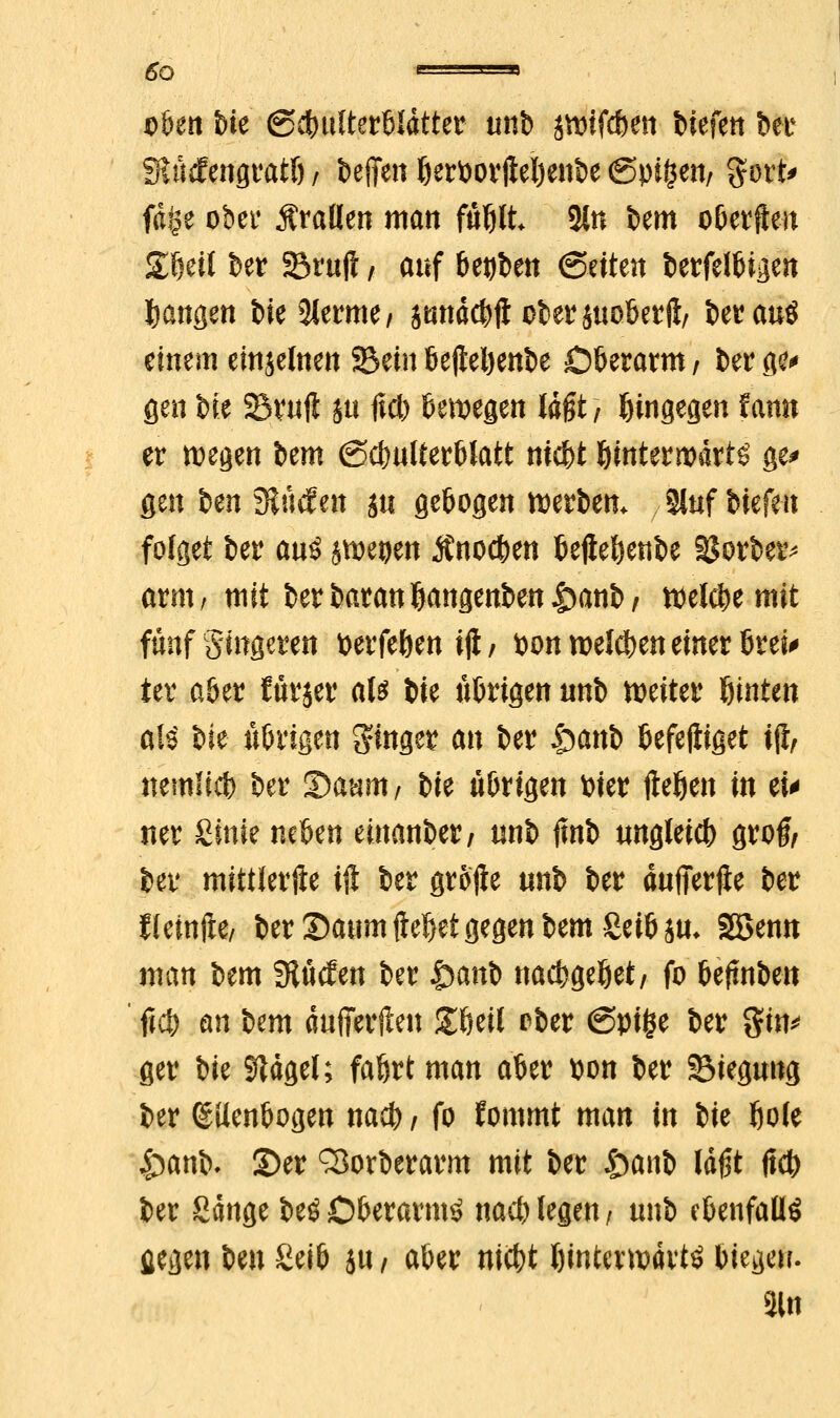 oben bte ©cbttlterbldtter unb ätoifcben biefett ber Sttidfengtatö; ieffen berfcorjleljenbe ©ptgen, ftort* fdlje ober prallen matt ffifjlt 3in bem oberjten £fjett ber Stuft / auf betjben Seiten öetfelfcigen Jangen bie 2lerme/ jmtdcbft oberjuoberft/ berauö einem einjelnen Sein bejieljenbe Oberarm; ber gfe gen bie Srufi ju fiel) belegen lagt, hingegen famt er wegen bem (Scbulterblatt nic&t Ijintermdrtg ge* gen im SRttÄen Sit gebogen werben* Sluf btefeit folget ber ani jvoeoen Änocben bejiebenbe Sorben arm, mit berbaranljangenbentmnb/ welche mit fünf Singeren toerfeöen ijl / fcon welchen einer brei* ter aber furjer als W übrigen unb weiter hinten alö bie übrigen ginger an ber £>anb befeftiget ijl, nemücb ber ©atim, bie übrigen t^ier fteften in tu ner Sinie neben einander / unb iinb ungleich gro& ber miitlerfte ift ber grofle unb ber dufferfte ber flctnfte/ ber 2)aum Met gegen bem Seibju* SBenn man bem Slücfen ber £mnb naebgeljet/ fo beftnben ftcb an bem dufferflen göeil cber (Spifce ber gtn^ ger bie Stdgel; fafjrt man aber pon ber Siegung ber Ellenbogen nacb / fo Eommt man in bte böte £>anb. S)er ^orberarm mit ber S^ani laßt ftd) ber Sauge beööberarmö nacb legen/ unb ebenfalls fiegen im £eib iu / aber niebt binterwdrtö biegen. m