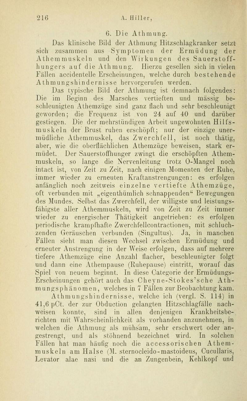 6. Die Athmung. Das klinische Bild der Athmung Hitzschlagkranker setzt sich zusammen aus Symptomen der Ermüdung der Athemmuskeln und den Wirkungen des Sauerstoff- hungers auf die Athmung. Hierzu gesellen sich in vielen Fällen accidentelle Erscheinungen, welche durch bestehende Athmungshindernisse hervorgerufen werden. Das typische Bild der Athmmig ist demnach folgendes: Die im Beginn des Marsches vertieften und massig be- schleunigten Athemzüge sind ganz flach mid sehr beschleunigt geworden; die Frequenz ist von 24 auf 40 und darüber gestiegen. Die der mehrstündigen Arbeit ungewohnten Hilfs- muskeln der Brust ruhen erschöpft; nur der einzige uner- müdliche Athemmuskel, das Zwerchfell, ist noch thätig, aber, wie die oberflächlichen Athemzüge beweisen, stark er- müdet. Der Sauerstoffhunger zwingt die erschöpften Athem- muskeln, so lange die Nervenleitung trotz 0-Mangel noch intact ist, von Zeit zu Zeit, nach einigen Momenten der Ruhe, immer wieder zu erneuten Kraftanstrengungen: es erfolgen anfänglich noch zeitweis einzelne vertiefte Athemzüge, oft verbunden mit „eigenthümlich schnappenden Bewegungen des Mundes. Selbst das Zwerchfell, der willigste und leistungs- fähigste aller Athemmuskeln, wird von Zeit zu Zeit immer wieder zu energischer Thätigkeit angetrieben: es erfolgen periodische krampfhafte Zwerchfellcontractionen, mit schluch- zenden Geräuschen verbunden (Singultus). Ja, in manchen Fällen sieht man diesen Wechsel zwischen Ermüdung und erneuter Anstrengung in der Weise erfolgen, dass auf mehrere tiefere Athemzüge eine Anzahl flacher, beschleunigter folgt und dann eine Athempause (Ruhepause) eintritt, worauf das Spiel von neuem beginnt. In diese Categorie der Ermüdungs- Erscheinungen gehört auch das Cheyne-Stokes'sche Ath- mungsphänomen, welches in 7 Fällen zur Beobachtung kam. Athmungshindernisse, welche ich (vergl. S. 114) in 41,6 pGt. der zur Obduction gelangten Hitzschlagfälle nach- weisen konnte, sind in allen denjenigen Krankheitsbe- richten mit Wahrscheinlichkeit als vorhanden anzunehmen, in welchen die Athmung als mühsam, sehr erschwert oder an- gestrengt, und als stöhnend bezeichnet wird. In solchen Fällen hat man häufig noch die accessorischen Athem- muskeln am Halse (M. sternocleido-mastoideus, Cucullaris, Levator alae nasi und die an Zungenbein, Kehlkopf und