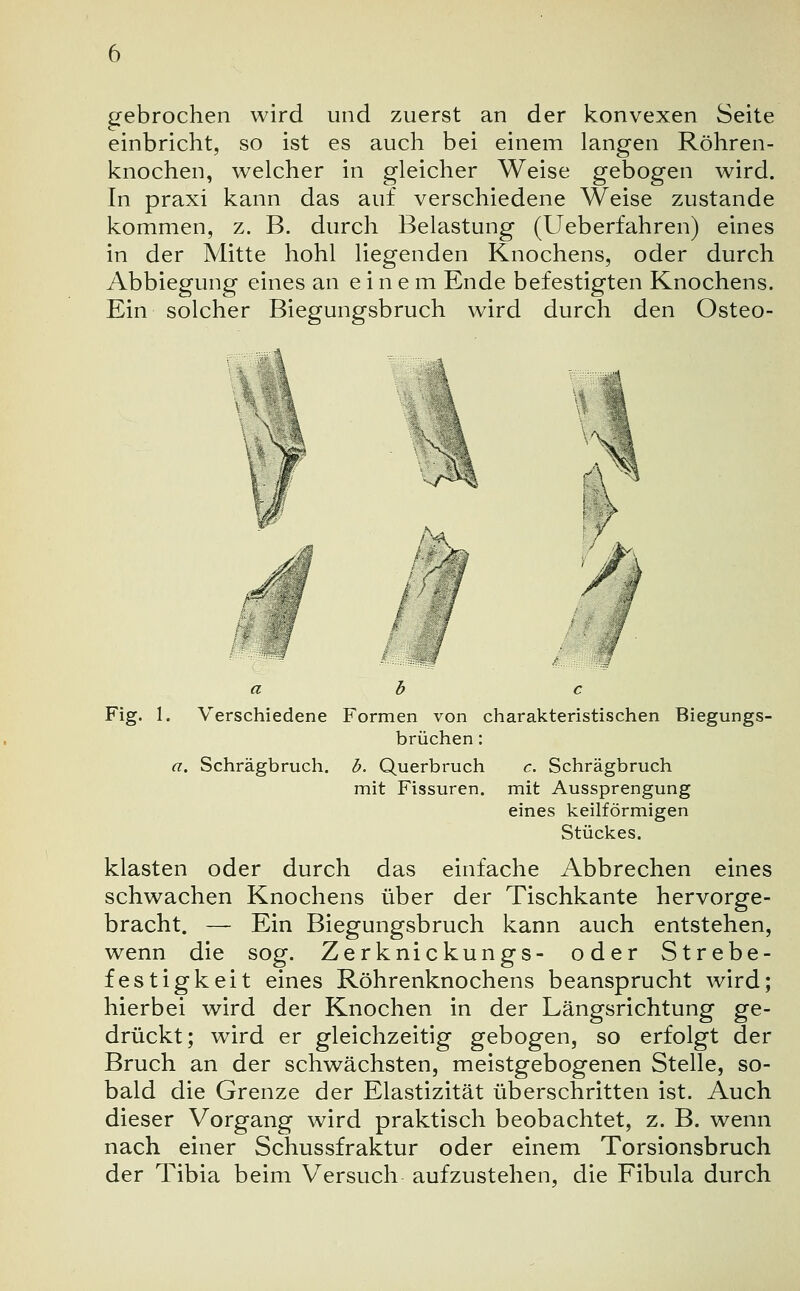 gebrochen wird und zuerst an der konvexen Seite einbricht, so ist es auch bei einem langen Röhren- knochen, welcher in gleicher Weise gebogen wird. In praxi kann das auf verschiedene Weise zustande kommen, z. B. durch Belastung (Ueberfahren) eines in der Mitte hohl liegenden Knochens, oder durch Abbiegung eines an einem Ende befestigten Knochens. Ein solcher Biegungsbruch wird durch den Osteo- ab c Fig. 1. Verschiedene Formen von charakteristischen Biegungs- brüchen : a. Schrägbruch, b. Querbruch c. Schrägbruch mit Fissuren, mit Aussprengung eines keilförmigen Stückes. klasten oder durch das einfache Abbrechen eines schwachen Knochens über der Tischkante hervorge- bracht. — Ein Biegungsbruch kann auch entstehen, wenn die sog. Zerknickungs- oder Strebe- festigkeit eines Röhrenknochens beansprucht wird; hierbei wird der Knochen in der Längsrichtung ge- drückt; wird er gleichzeitig gebogen, so erfolgt der Bruch an der schwächsten, meistgebogenen Stelle, so- bald die Grenze der Elastizität überschritten ist. Auch dieser Vorgang wird praktisch beobachtet, z. B. wenn nach einer Schussfraktur oder einem Torsionsbruch der Tibia beim Versuch aufzustehen, die Fibula durch