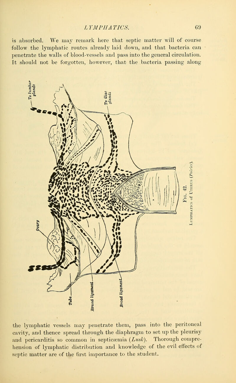 is absorbed. We may remark here that septic matter will of course follow the lymphatic routes already laid down, and that bacteria can penetrate the walls of blood-vessels and pass into the general circulation. It should not be forgotten, however, that the bacteria passing along the lymphatic vessels may penetrate them, pass into the peritoneal cavity, and thence spread through the diaphragm to set up the pleurisy and pericarditis so common in septicaemia {Lush). Thorough compre- hension of lymphatic distribution and knowledge of the evil effects of septic matter are of the first importance to the student.