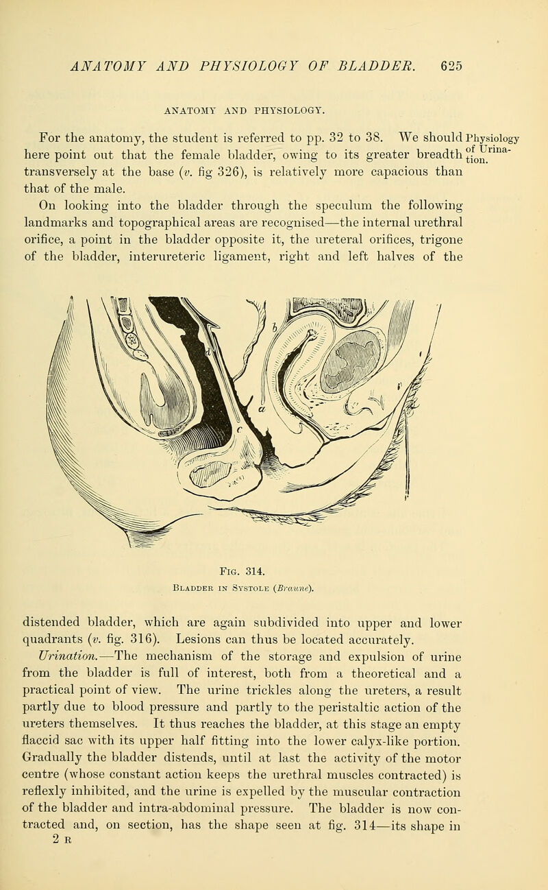 ANATOMY AND PHYSIOLOGY. For the anatomy, the student is referred to pp. 32 to 38. We should Physiology here point out that the female bladder, owing to its greater breadth °ion rma transversely at the base (v. fig 326), is relatively more capacious than that of the male. On looking into the bladder through the speculum the following landmarks and topographical areas are recognised—the internal urethral orifice, a point in the bladder opposite it, the ureteral orifices, trigone of the bladder, interureteric ligament, right and left halves of the Fig. 314. Bladder in Systole (Braime). distended bladder, which are again subdivided into upper and lower quadrants (v. fig. 316). Lesions can thus be located accurately. Urination.—The mechanism of the storage and expulsion of urine from the bladder is full of interest, both from a theoretical and a practical point of view. The urine trickles along the ureters, a result partly due to blood pressure and partly to the peristaltic action of the ureters themselves. It thus reaches the bladder, at this stage an empty flaccid sac with its upper half fitting into the lower calyx-like portion. Gradually the bladder distends, until at last the activity of the motor centre (whose constant action keeps the urethral muscles contracted) is reflexly inhibited, and the urine is expelled by the muscular contraction of the bladder and intra-abdominal pressure. The bladder is now con- tracted and, on section, has the shape seen at fig. 314—its shape in 2 R