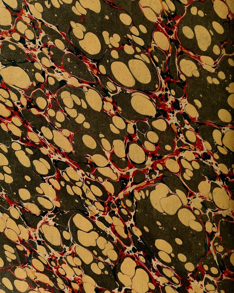 ■1.■•■..*. ..* -2S*A >' mJkl ■P^RuvUl ^py * i ^ s^ ^sN ■ 1 \ • ;c?W.^^