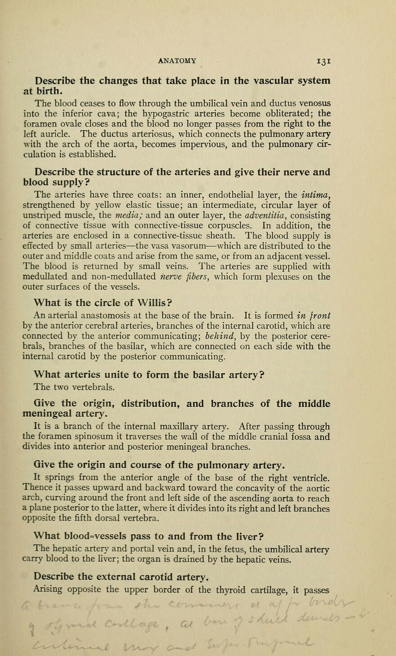 Describe the changes that take place in the vascular system at birth. The blood ceases to flow through the umbilical vein and ductus venosus into the inferior cava; the hypogastric arteries become obliterated; the foramen ovale closes and the blood no longer passes from the right to the left auricle. The ductus arteriosus, which connects the pulmonary artery with the arch of the aorta, becomes impervious, and the pulmonary cir- culation is established. Describe the structure of the arteries and give their nerve and blood supply? The arteries have three coats: an inner, endothelial layer, the intima, strengthened by yellow elastic tissue; an intermediate, circular layer of unstriped muscle, the media; and an outer layer, the adventitia, consisting of connective tissue with connective-tissue corpuscles. In addition, the arteries are enclosed in a connective-tissue sheath. The blood supply is effected by small arteries—the vasa vasorum—which are distributed to the outer and middle coats and arise from the same, or from an adjacent vessel. The blood is returned by small veins. The arteries are supplied with medullated and non-medullated nerve fibers, which form plexuses on the outer surfaces of the vessels. What is the circle of Willis? An arterial anastomosis at the base of the brain. It is formed in front by the anterior cerebral arteries, branches of the internal carotid, which are connected by the anterior communicating; behind, by the posterior cere- brals, branches of the basilar, which are connected on each side with the internal carotid by the posterior communicating. What arteries unite to form the basilar artery? The two vertebrals. Give the origin, distribution, and branches of the middle meningeal artery. It is a branch of the internal maxillary artery. After passing through the foramen spinosum it traverses the wall of the middle cranial fossa and divides into anterior and posterior meningeal branches. Give the origin and course of the pulmonary artery. It springs from the anterior angle of the base of the right ventricle. Thence it passes upward and backward toward the concavity of the aortic arch, curving around the front and left side of the ascending aorta to reach a plane posterior to the latter, where it divides into its right and left branches opposite the fifth dorsal vertebra. What blood=vessels pass to and from the liver? The hepatic artery and portal vein and, in the fetus, the umbilical artery carry blood to the liver; the organ is drained by the hepatic veins. Describe the external carotid artery. Arising opposite the upper border of the thyroid cartilage, it passes (t/Vw-
