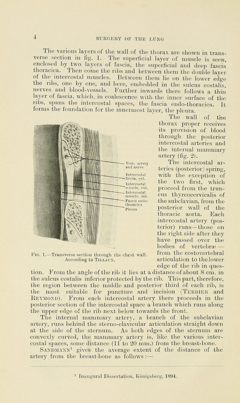 The various layers of the wall of the thorax are shown in trans- verse section in fig. 1. The superficial laver of muscle is seen, enclosed by two layers of fascia, the superficial and deep fascia thoracica. Then come the ribs and between them the double layer of the intercostal muscles. Between them lie on the lower edge the ribs, one by one, and here, embedded in the sulcus costalis, nerves and blood-vessels. Further inwards there follows a thin layer of fascia, which, in coalescence with the inner surface of the ribs, spans the intercostal spaces, the fascia endo-thoracica. It forms the foundation for the innermost layer, the pleura. The wall of the thorax proper receives its provision of blood through the posterior intercostal arteries and the internal mammary artery (fig. 2). The intercostal ar- teries (posterior) spring, with the exception of the two first, which proceed from the trun- cus thyreocervicalis of the subclavian, from the posterior wall of the thoracic aorta. Each intercostal artery (pos- terior) runs—those on the right side after they have passed over the bodies of vertebrae — from the costovertebral articulation to the lower edge of the rib in ques- tion. From the angle of the rib it lies at a distance of about 8 cm. in the sulcus costalis inferior protected by the rib. This part, therefore, the region between the middle and posterior third of each rib, is the most suitable for puncture and incision (Teeriee and Eeymond). From each intercostal artery there proceeds in the posterior section of the intercostal space a branch which runs along the upper edge of the rib next below towards the front. The internal mammary artery, a branch of the subclavian artery, runs behind the sterno-clavicular articulation straight down at the side of the sternum. As both edges of the sternum are convexly curved, the mammary artery is, like the various inter- costal spaces, some distance (11 to 20 mm.) from the breast-bone. Sandmann1 gives the average extent of the distance of the artery from the breast-bone as follows :— Intercostal fascia, ext. Intercostal muscle, ext. Intercostal muscle, int. Fascia endo- thoracica Pleura Fig. 1.—Transverse section through the chest wall. According to Tillaux.