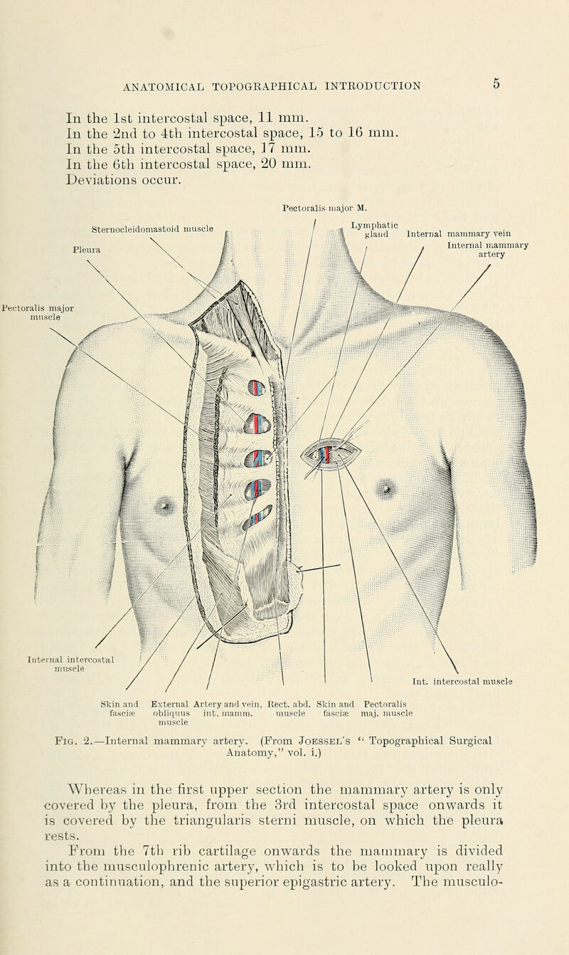 In the 1st intercostal space, 11 mm. In the 2nd to 4th intercostal space, 15 to 16 mm. In the 5th intercostal space, 17 mm. In the 6th intercostal space, 20 mm. Deviations occur. Pectoralis major M. Sternocleidomastoid muscle Pleura Lymphatic gland Internal mammary vein Internal mammary artery Pectoralis major muscle Internal intercostal muscle Int. intercostal muscle Skin and External Artery and vein, Rect. abd. Skin and Pectoralis fascise obliquus int. mamm. muscle fasciae maj. muscle muscle Fig. 2.—Internal mammary artery. (From Joessel's  Topographical Surgical Anatomy, vol. i.) Whereas in the first upper section the mammary artery is only covered by the pleura, from the 3rd intercostal space onwards it is covered by the triangularis sterni muscle, on which the pleura rests. From the 7th rib cartilage onwards the mammary is divided into the musculophrenic artery, which is to be looked upon really as a continuation, and the superior epigastric artery. The musculo-