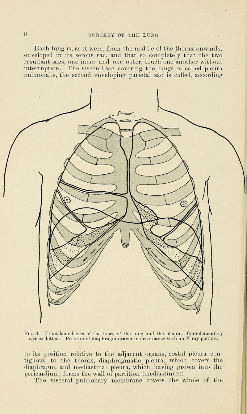 Each lung is, as it were, from the middle of the thorax onwards, enveloped in its serous sac, and that so completely that the two resultant sacs, one inner and one outer, touch one another without interruption. The visceral sac covering the lungs is called pleura pulmonalis, the second enveloping parietal sac is called, according Fig. 3.-—Front boundaries of the lobes of the lung and the pleura. Complementary spaces dotted. Position of diaphragm drawn in accordance with an X-ray picture. to its position relative to the adjacent organs, costal pleura con- tiguous to the thorax, diaphragmatic pleura, which covers the diaphragm, and mediastinal pleura, which, having grown into the pericardium, forms the wall of partition (mediastinum). The visceral pulmonary membrane covers the whole of the