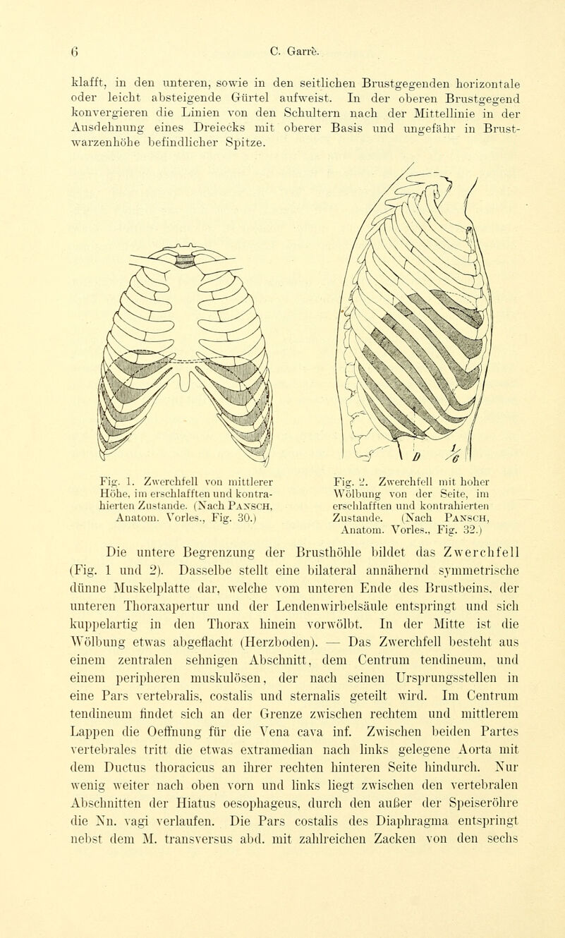 klafft, in den unteren, sowie in den seitlichen Brustgegenden horizontale oder leicht absteigende Gürtel aufweist. In der oberen Brustgegend konvergieren die Linien von den Schultern nach der Mittellinie in der Ausdehnung eines Dreiecks mit oberer Basis und ungefähr in Brust- warzenhöhe befindlicher Spitze. Fig. 1. Zwerchfell von mittlerer Höhe, im erschlafften und kontra- hierten Zustande. (Nach Paxsch, Anatom. Vorles., Fig. 30.) Fig. 2. Zwerchfell mit hoher Wölbung von der Seite, im erschlafften und kontrahierten Zustande. (Nach Pansch, Anatom. Vorles., Fig. 32.) Die untere Begrenzung der (Fig. 1 und 2) Brusthöhle bildet das Zwerchfell Dasselbe stellt eine bilateral annähernd symmetrische dünne Muskelplatte dar, welche vom unteren Ende des Brustbeins, der unteren Thoraxapertur und der Lendenwirbelsäule entspringt und sich kuppelartig in den Thorax hinein vorwölbt. In der Mitte ist die Wölbung etwas abgeflacht (Herzboden). — Das Zwerchfell besteht aus einem zentralen sehnigen Abschnitt, dem Centrum tendineum, und einem peripheren muskulösen, der nach seinen Ursprungsstellen in eine Pars vertebralis, costalis und sternalis geteilt wird. Im Centrum tendineum rindet sich an der Grenze zwischen rechtem und mittlerem Lappen die Oeffnung für die Vena cava inf. Zwischen beiden Partes vertebrales tritt die etwas extramedian nach links gelegene Aorta mit dem Ductus thoracicus an ihrer rechten hinteren Seite hindurch. Nur wenig weiter nach oben vorn und links liegt zwischen den vertebralen Abschnitten der Hiatus oesophageus, durch den außer der Speiseröhre die Nn. vagi verlaufen. Die Pars costalis des Diaphragma entspringt nebst dem M. transversus abd. mit zahlreichen Zacken von den sechs