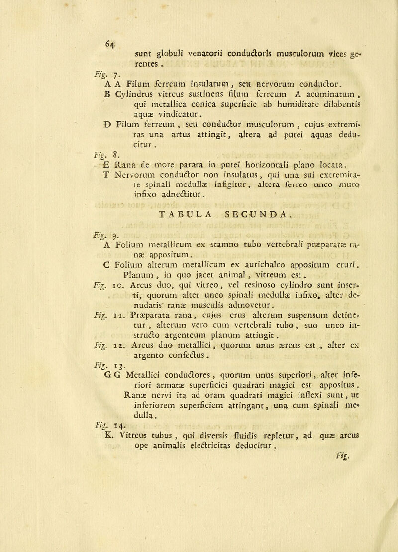 sunt globuli venatorii condudorls musculorum vices ge- rentes . Fig. 7. A A Filum ferreum insulatum, seu eerv^orum condudor. B Cylindrus vitreus sustinens iilum ferreum A acuminatum , qui metallica conica superficie ab humiditate dilabentis aqu2e vindicatur. D Filum ferreum , seu condudor musculorum , cujus extremi- tas una artus attingit, altera ad putei aquas dedu- citur . Fig. 8. E Rana de more parata in putei horizontali plano locata. T Nervorum condudor non insulatus, qui una sui extremita' te spinali medullae infigitur, altera ferreo ujico muro infixo adneditur. TABULA SECUNDA. Fig. 9. A Folium metallicum ex stamno tubo vertebrali prscparat^ ra- nae appositum. C Folium alterum metallicum ex aurichalco appositum cruri. Planum , in quo jacet animal, vitreum est. Fig. 10. Arcus duo, qui vitreo, vel resinoso cylindro sunt inser- ti, quorum alter unco spinali medullse infixo, alter de* nudatis' ranse musculis admovetur. Fig. II. Praeparata rana, cujus crus akerum suspensum detioc- tur , alterum vero cum vertebrali tubo, suo unco in- strucflo argenteum planum attingit. Hg. 12. Arcus duo metallici, quorum unus a;reus est , alter ex argento confeclus. Fig. 13. G G Metallici condudorcs, quorum unus superiori, alter infc- riori armatae superficiei quadrati magici est appositus. Ranse nervi ita ad oram quadrati magici inflexi sunt, ut inferiorem superficiem attingant, una cum spinali me» dulla. Fig. 14- K, Vitreus tubus , qui diversis fluidis rcpletur, ad quse arcus ope animalis eledricitas deducitur . Fig.