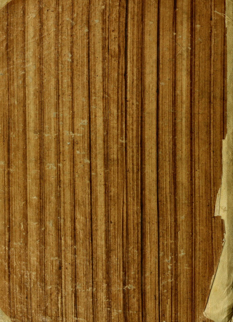 jK.fe',!(. I i '; f^\ M T. lAmm 1,' ' p ->* L