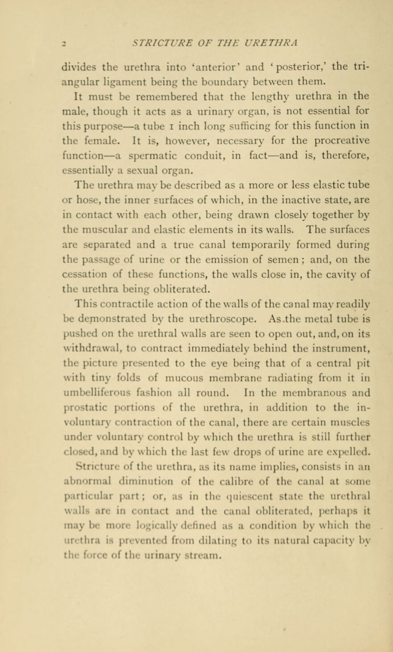 divide- the urethra into 'anterior' and 'posterior,' the tri- angular ligament being the boundary between them. It must be remembered that the lengthy urethra in the male though it acts as a urinary organ, is not essential for this purpose—a tube i inch long sufficing for this function in the female. It is, however, necessary for the procreative function—a spermatic conduit, in fact—and is, therefore, tially a sexual organ. The urethra may be described as a more or less elastic tube ■ a- hose, the inner surfaces of which, in the inactive state, are in contact with each other, being drawn closely together by the muscular and elastic elements in its walls. The surfaces eparated and a true canal temporarily formed during : urine or the emission of semen: and, on the tion <>f these functions, the walls close in, the cavity of the urethra being obliterated. This a mtractile action of the walls of the canal may readily monstrated by the urethroscope. As .the metal tube is pushed on the urethral walls arc seen to open in, and, on its withdrawal, to contract immediately behind the instrument, the picture presented to the eye being that of a central pit with tiny folds of mucous membrane radiating from it in umbelliferous fashion all round. In the membranous and portions of the urethra, m addition to tin- in- volui I tion of the canal, there air certain muscles under voluntary control by which the urethra i> -till further i, and by which the last few drops of urine are expelled. mi the urethra, as its name impli in an abnormal diminution of the calibre <>f the canal at SOOie a the quiescent state the urethral m contact and the canal obliterated, perhaps it may I Q < aidit h»n b\ w lu< h the in- thi ted from dilating t its natural capa< ity by tin • :he uiin. in.