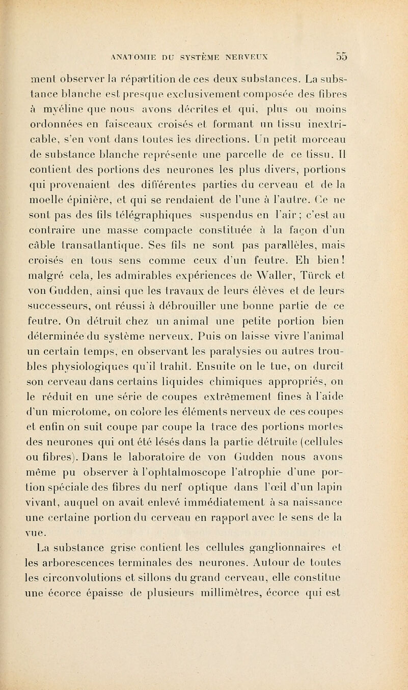 ment observer la répartition de ces deux substances. La subs- tance blanche est presque exclusivement composée des fibres à myéline que nous avons décrites et qui, plus ou moins ordonnées en faisceaux croisés et formant un tissu inextri- cable, s'en vont dans toutes les directions. Un petit morceau de substance blanche représente une parcelle de ce tissu. Il contient des portions des neurones les plus divers, portions qui provenaient des différentes parties du cerveau et de la moelle épinière, et qui se rendaient de l'une à l'autre. Ce ne sont pas des fils télégraphiques suspendus en l'air ; c'est au contraire une masse compacte constituée à la façon d'un câble transatlantique. Ses fils ne sont pas parallèles, mais croisés en tous sens comme ceux d'un feutre. Eh bien ! malgré cela, les admirables expériences de Waller, Tùrck et von Gudden, ainsi que les travaux de leurs élèves et de leurs successeurs, ont réussi à débrouiller une bonne partie de ce feutre. On détruit chez un animal une petite portion bien déterminée du système nerveux. Puis on laisse vivre l'animal un certain temps, en observant les paralysies ou autres trou- bles physiologiques qu'il trahit. Ensuite on le tue, on durcit son cerveau dans certains liquides chimiques appropriés, on le réduit en une série de coupes extrêmement fines à l'aide d'un microtome, on colore les éléments nerveux de ces coupes et enfin on suit coupe par coupe la trace des portions mortes des neurones qui ont été lésés dans la partie détruite (cellules ou fibres). Dans le laboratoire de von Gudden nous avons même pu observer à l'ophtalmoscope l'atrophie d'une por- tion spéciale des fibres du nerf optique dans l'œil d'un lapin vivant, auquel on avait enlevé immédiatement à sa naissance une certaine portion du cerveau en rapport avec le sens de la vue. La substance grise contient les cellules ganglionnaires et les arborescences terminales des neurones. Autour de toutes les circonvolutions et sillons du grand cerveau, elle constitue une écorce épaisse de plusieurs millimètres, écorce qui est