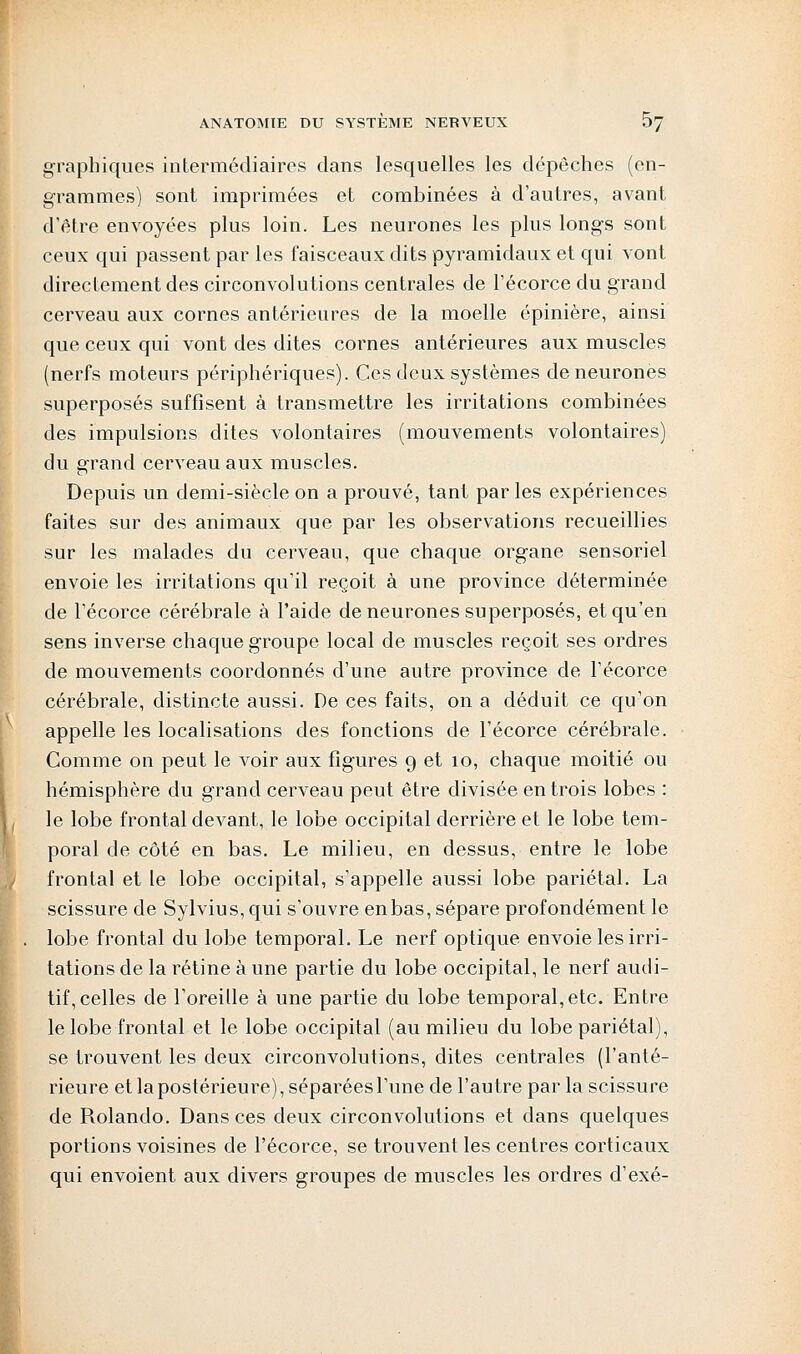 graphiques intermédiaires dans lesquelles les dépêches (en- grammes) sont imprimées et combinées à d'autres, avant d'être envoyées plus loin. Les neurones les plus longs sont ceux qui passent par les faisceaux dits pyramidaux et qui vont directement des circonvolutions centrales de l'écorce du grand cerveau aux cornes antérieures de la moelle épinière, ainsi que ceux qui vont des dites cornes antérieures aux muscles (nerfs moteurs périphériques). Ces deux systèmes de neurones superposés suffisent à transmettre les irritations combinées des impulsions dites volontaires (mouvements volontaires) du grand cerveau aux muscles. Depuis un demi-siècle on a prouvé, tant par les expériences faites sur des animaux que par les observations recueillies sur les malades du cerveau, que chaque organe sensoriel envoie les irritations qu'il reçoit à une province déterminée de l'écorce cérébrale à l'aide de neurones superposés, et qu'en sens inverse chaque groupe local de muscles reçoit ses ordres de mouvements coordonnés d'une autre province de l'écorce cérébrale, distincte aussi. De ces faits, on a déduit ce qu'on appelle les localisations des fonctions de l'écorce cérébrale. Comme on peut le voir aux figures 9 et 10, chaque moitié ou hémisphère du grand cerveau peut être divisée en trois lobes : le lobe frontal devant, le lobe occipital derrière et le lobe tem- poral de côté en bas. Le milieu, en dessus, entre le lobe frontal et le lobe occipital, s'appelle aussi lobe pariétal. La scissure de Sylvius, qui s'ouvre en bas, sépare profondément le lobe frontal du lobe temporal. Le nerf optique envoie les irri- tations de la rétine à une partie du lobe occipital, le nerf audi- tif, celles de l'oreille à une partie du lobe temporal, etc. Entre le lobe frontal et le lobe occipital (au milieu du lobe pariétal), se trouvent les deux circonvolutions, dites centrales (l'anté- rieure et la postérieure), séparées l'une de l'autre par la scissure de Rolande Dans ces deux circonvolutions et dans quelques portions voisines de l'écorce, se trouvent les centres corticaux qui envoient aux divers groupes de muscles les ordres d'exé-