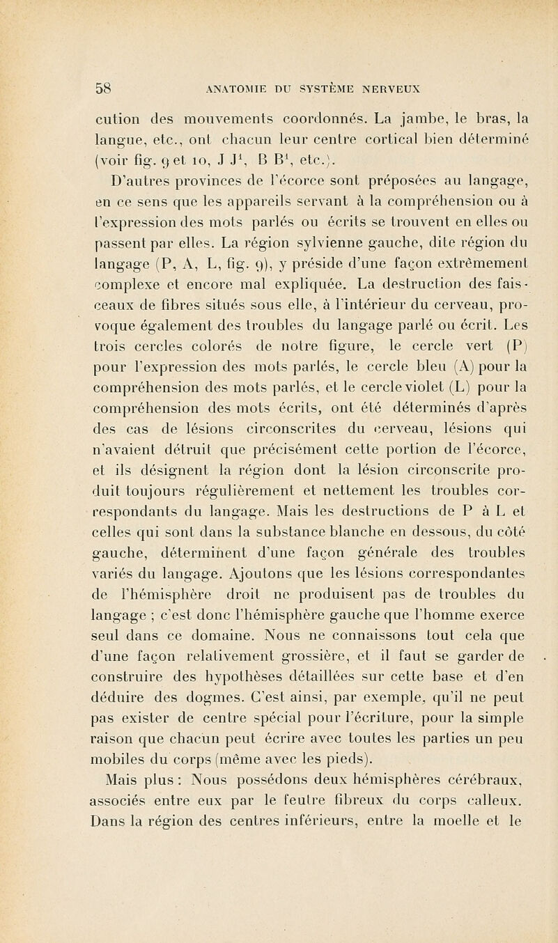 cution des mouvements coordonnés. La jambe, le bras, la langue, etc., ont chacun leur centre cortical bien déterminé (voir fig. 9 et 10, J J1, B B1, etc.). D'autres provinces de l'écorce sont préposées au langage, en ce sens que les appareils servant à la compréhension ou à l'expression des mots parlés ou écrits se trouvent en elles ou passent par elles. La région sylvienne gauche, dite région du langage (P, A, L, fig. 9), y préside d'une façon extrêmement complexe et encore mal expliquée. La destruction des fais- ceaux de fibres situés sous elle, à l'intérieur du cerveau, pro- voque également des troubles du langage parlé ou écrit. Les trois cercles colorés de notre figure, le cercle vert (P) pour l'expression des mots parlés, le cercle bleu (A) pour la compréhension des mots parlés, et le cercle violet (L) pour la compréhension des mots écrits, ont été déterminés d'après des cas de lésions circonscrites du cerveau, lésions qui n'avaient détruit que précisément cette portion de l'écorce, et ils désignent la région dont la lésion circonscrite pro- duit toujours régulièrement et nettement les troubles cor- respondants du langage. Mais les destructions de P à L et celles qui sont dans la substance blanche en dessous, du côté gauche, déterminent d'une façon générale des troubles variés du langage. Ajoutons que les lésions correspondantes de l'hémisphère droit ne produisent pas de troubles du langage ; c'est donc l'hémisphère gauche que l'homme exerce seul dans ce domaine. Nous ne connaissons tout cela que d'une façon relativement grossière, et il faut se garder de construire des hypothèses détaillées sur cette base et d'en déduire des dogmes. C'est ainsi, par exemple^ qu'il ne peut pas exister de centre spécial pour l'écriture, pour la simple raison que chacun peut écrire avec toutes les parties un peu mobiles du corps (même avec les pieds). Mais plus : Nous possédons deux hémisphères cérébraux, associés entre eux par le feutre fibreux du corps calleux. Dans la région des centres inférieurs, entre la moelle et le