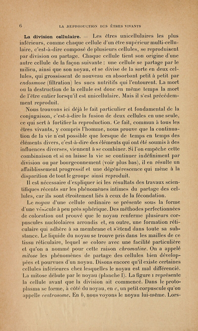 La division cellulaire. — Les êtres unicellulaires les plus inférieurs, comme chaque cellule d'un être supérieur multi-cellu- laire, c'est-à-dire composé de plusieurs cellules, se reproduisent par division ou partage. Chaque cellule tient son origine d'une autre cellule de la façon suivante : une cellule se partage par le milieu, ainsi que son noyau, et se divise de la sorte en deux cel- lules, qui grossissent de nouveau en absorbant petit à petit par endosmose (filtration) les sucs nutritifs qui l'entourent. La mort ou la destruction de la cellule est donc en même temps la mort de l'être entier lorsqu'il est unicellulaire. Mais il s'est précédem- ment reproduit. Nous trouvons ici déjà le fait particulier et fondamental de la conjugaison, c'est-à-dire la fusion de deux cellules en une seule, ce qui sert à fortifier la reproduction. Ce fait, commun à tous les êtres vivants, y compris l'homme, nous prouve que la continua- tion de la vie n'est possible que lorsque de temps en temps des éléments divers, c'est-à-dire des éléments qui ont été soumis à des influences diverses, viennent à se combiner. Si l'on empêche cette combinaison et si on laisse la vie se continuer indéfiniment par division ou par bourgeonnement (voir plus bas), il en résulte un affaiblissement progressif et une dégénérescence qui mène à la disparition de tout le groupe ainsi reproduit. Il est nécessaire d'expliquer ici les résultats des travaux scien- tifiques récents sur les phénomènes intimes du partage des cel- lules, car ils sont étroitement liés à ceux de la fécondation. Le noyau d'une cellule ordinaire se présente sous la forme d'une vé&icule à peu près sphérique. Des méthodes perfectionnées de coloration ont prouvé que le noyau renferme plusieurs cor- puscules nucléolaires arrondis et, en outre, une formation réti- culaire qui adhère à sa membrane et s'étend dans toute sa sub- stance. Le liquide du noyau se trouve pris dans les mailles de ce tissu réticulaire, lequel se colore avec une facilité particulière et qu'on a nommé pour cette raison chromatine. On a appelé mitose les phénomènes de partage des cellules bien dévelop- pées et pourvues d'un noyau. Disons encore qu'il existe certaines cellules inférieures chez lesquelles le noyau est mal différencié. La mitose débute par le noyau (planche I). La figure 1 représente la cellule avant que la division ait commencé. Dans le proto- plasma se forme, à côté du noyau, en c, un petit corpuscule qu'on