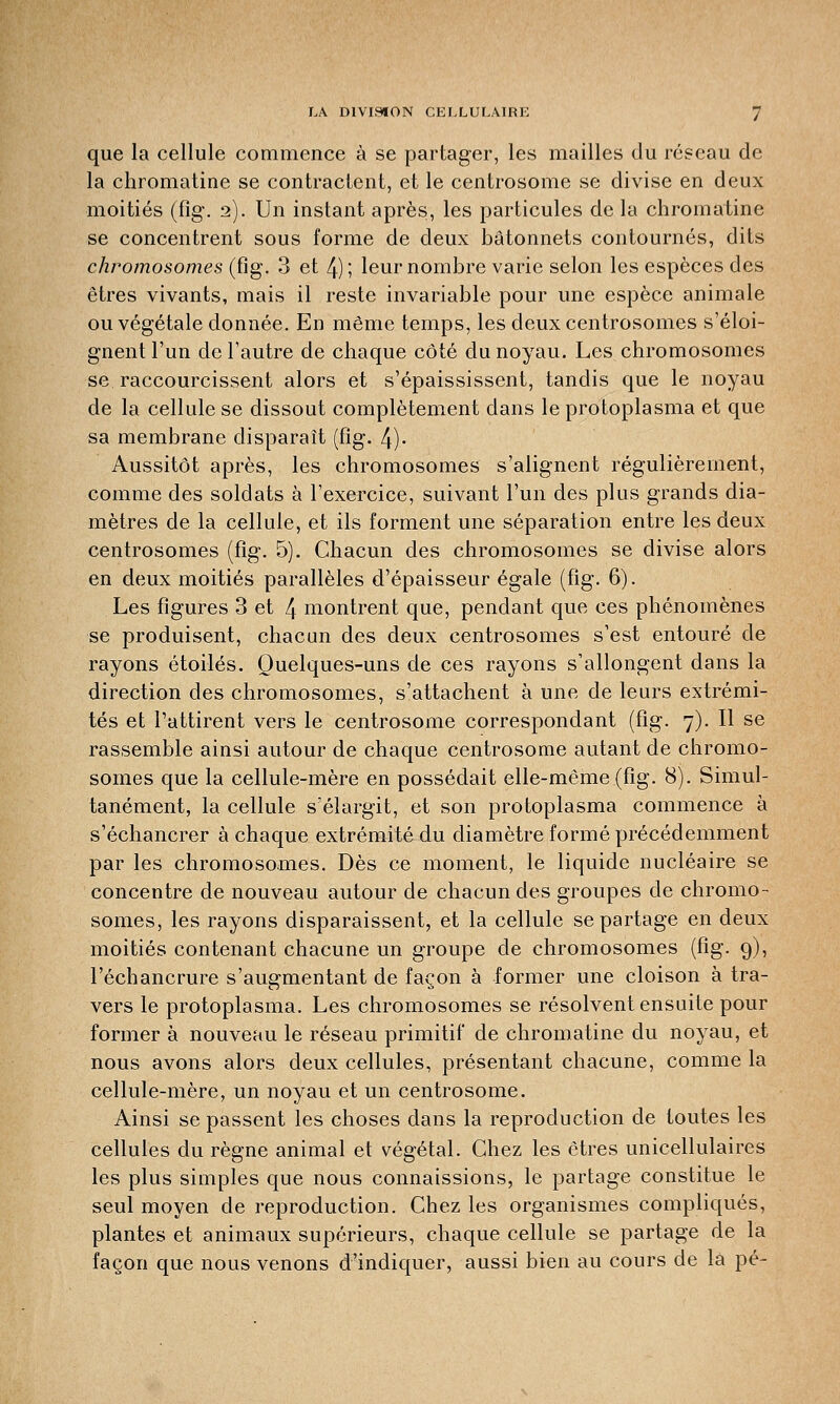 LA DIVISION CELLULAIRE que la cellule commence à se partager, les mailles du réseau de la chromatine se contractent, et le centrosome se divise en deux moitiés (fig. 2). Un instant après, les particules de la chromatine se concentrent sous forme de deux bâtonnets contournés, dits chromosomes (fig. 3 et 4); leur nombre varie selon les espèces des êtres vivants, mais il reste invariable pour une espèce animale ou végétale donnée. En même temps, les deux centrosomes s'éloi- gnent l'un de l'autre de chaque côté du noyau. Les chromosomes se raccourcissent alors et s'épaississent, tandis que le noyau de la cellule se dissout complètement dans le protoplasma et que sa membrane disparaît (fîg. 4)- Aussitôt après, les chromosomes s'alignent régulièrement, comme des soldats à l'exercice, suivant l'un des plus grands dia- mètres de la cellule, et ils forment une séparation entre les deux centrosomes (fig. 5). Chacun des chromosomes se divise alors en deux moitiés parallèles d'épaisseur égale (fig. 6). Les figures 3 et 4 montrent que, pendant que ces phénomènes se produisent, chacun des deux centrosomes s'est entouré de rayons étoiles. Quelques-uns de ces rayons s'allongent dans la direction des chromosomes, s'attachent à une de leurs extrémi- tés et l'attirent vers le centrosome correspondant (fig. 7). Il se rassemble ainsi autour de chaque centrosome autant de chromo- somes que la cellule-mère en possédait elle-même (fig. 8). Simul- tanément, la cellule s'élargit, et son protoplasma commence à s'échancrer à chaque extrémité du diamètre formé précédemment par les chromosomes. Dès ce moment, le liquide nucléaire se concentre de nouveau autour de chacun des groupes de chromo- somes, les rayons disparaissent, et la cellule se partage en deux moitiés contenant chacune un groupe de chromosomes (fig. 9), l'échancrure s'augmentant de façon à former une cloison à tra- vers le protoplasma. Les chromosomes se résolvent ensuite pour former à nouveau le réseau primitif de chromatine du noyau, et nous avons alors deux cellules, présentant chacune, comme la cellule-mère, un noyau et un centrosome. Ainsi se passent les choses dans la reproduction de toutes les cellules du règne animal et végétal. Chez les êtres unicellulaires les plus simples que nous connaissions, le partage constitue le seul moyen de reproduction. Chez les organismes compliqués, plantes et animaux supérieurs, chaque cellule se partage de la façon que nous venons d'indiquer, aussi bien au cours de la pé-