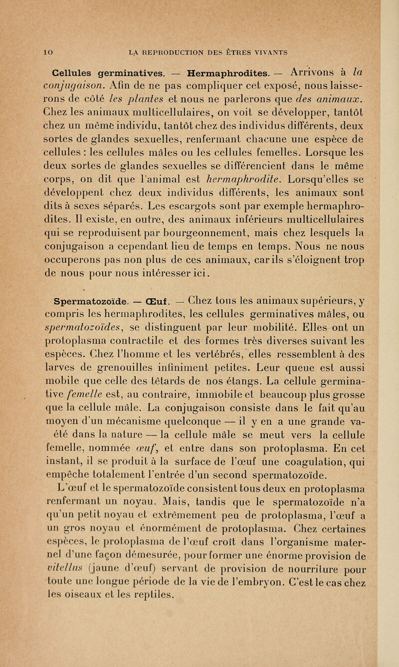 Cellules germinatives. — Hermaphrodites. — Arrivons à la conjugaison. Afin de ne pas compliquer cet exposé, nous laisse- rons de côté les plantes et nous ne parlerons que des animaux. Chez les animaux multicellulaires, on voit se développer, tantôt chez un même individu, tantôt chez des individus différents, deux sortes de glandes sexuelles, renfermant chacune une espèce de cellules : les cellules mâles ou les cellules femelles. Lorsque les deux sortes de glandes sexuelles se différencient dans le même corps, on dit que l'animal est hermaphrodite. Lorsqu'elles se développent chez deux individus différents, les animaux sont dits à sexes séparés. Les escargots sont par exemple hermaphro- dites. Il existe, en outre, des animaux inférieurs multicellulaires qui se reproduisent par bourgeonnement, mais chez lesquels la conjugaison a cependant lieu de temps en temps. Nous ne nous occuperons pas non plus de ces animaux, car ils s'éloignent trop de nous pour nous intéresser ici. Spermatozoïde. — Œuf. — Chez tous les animaux supérieurs, y compris les hermaphrodites, les cellules germinatives mâles, ou spermatozoïdes, se distinguent par leur mobilité. Elles ont un protoplasma contractile et des formes très diverses suivant les espèces. Chez l'homme et les vertébrés, elles ressemblent à des larves de grenouilles infiniment petites. Leur queue est aussi mobile que celle des têtards de nos étangs. La cellule germina- tive femelle est, au contraire, immobile et beaucoup plus grosse que la cellule mâle. La conjugaison consiste dans le fait qu'au moyen d'un mécanisme quelconque — il y en a une grande va- été dans la nature — la cellule mâle se meut vers la cellule femelle, nommée œuf, et entre dans son protoplasma. En cet instant, il se produit à la surface de l'œuf une coagulation, qui empêche totalement l'entrée d'un second spermatozoïde. L'œuf et le spermatozoïde consistent tous deux en protoplasma renfermant un noyau. Mais, tandis que le spermatozoïde n'a qu'un petit noyau et extrêmement peu de protoplasma, l'œuf a un gros noyau et énormément de protoplasma. Chez certaines espèces, le protoplasma de l'œuf croît dans l'organisme mater- nel d'une façon démesurée, pour former une énorme provision de vitellus (jaune d'œuf) servant de provision de nourriture pour toute une longue période de la vie de l'embryon. C'est le cas chez les oiseaux et les reptiles.