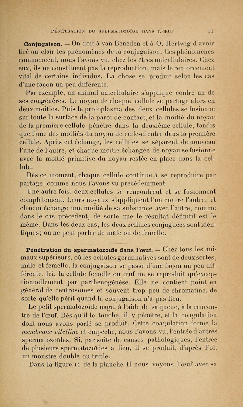 PENETRATION DU SPERMATOZOÏDE DANS L OEUF 11 Conjugaison. — On doit à van Beneden et à 0. Hertwig d'avoir tiré au clair les phénomènes de la conjugaison. Ces phénomènes commencent, nous l'avons vu, chez les êtres unicellulaires. Chez eux, ils ne constituent pas la reproduction, mais le renforcement vital de certains individus. La chose se produit selon les cas d'une façon un peu différente. Par exemple, un animal unicellulaire s'applique contre un de ses congénères. Le noyau de chaque cellule se partage alors en deux moitiés. Puis le protoplasma des deux cellules se fusionne sur toute la surface de la paroi de contact, et la moitié du noyau de la première cellule pénètre dans la deuxième cellule, tandis que Tune des moitiés du noyau de celle-ci entre dans la première cellule. Après cet échange, les cellules se séparent de nouveau Tune de l'autre, et chaque moitié échangée de noyau se fusionne avec la moitié primitive du noyau restée en place dans la cel- lule. Dès ce moment, chaque cellule continue à se reproduire par partage, comme nous l'avons vu précédemment. Une autre fois, deux cellules se rencontrent et se fusionnent complètement. Leurs noyaux s'appliquent l'un contre l'autre, et chacun échange une moitié de sa substance avec l'autre, comme dans le cas précédent, de sorte que le résultat définitif est le même. Dans les deux cas, les deux cellules conjuguées sont iden- tiques; on ne peut parler de mâle ou de femelle. Pénétration du spermatozoïde dans l'œuf. — Chez tous les ani- maux supérieurs, où les cellules germinatives sont de deux sortes, mâle et femelle, la conjugaison se passe d'une façon un peu dif- férente. Ici, la cellule femelle ou œuf ne se reproduit qu'excep- tionnellement par parthénogenèse. Elle ne contient point en général de centrosomes et souvent trop peu de chromatine, de sorte qu'elle périt quand la conjugaison n'a pas lieu. Le petit spermatozoïde nage, à l'aide de sa queue, à la rencon- tre de l'œuf. Dès qu'il le touche, il y pénètre, et la coagulation dont nous avons parlé se produit. Cette coagulation forme la membrane vitelline et empêche, nous l'avons vu, l'entrée d'autres spermatozoïdes. Si, par suite de causes pathologiques, l'entrée de plusieurs spermatozoïdes a lieu, il se produit, d'après Fol, un monstre double ou triple.