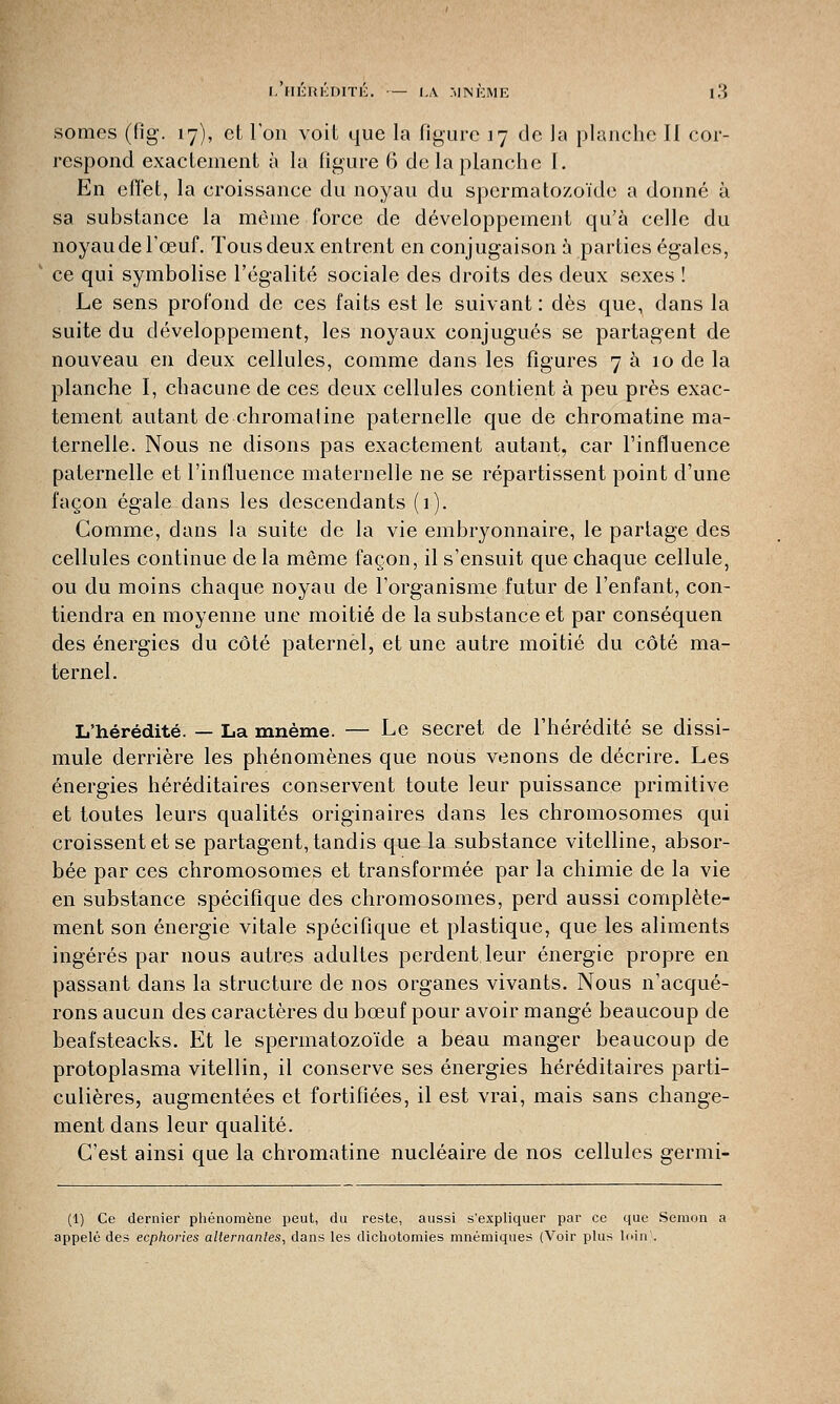 somes (fig. 17), et Ton voit que la figure 17 de la planche II cor- respond exactement à la figure 6 de la planche I. En effet, la croissance du noyau du spermatozoïde a donné à sa substance la même force de développement qu'à celle du noyau de l'œuf. Tous deux entrent en conjugaison à parties égales, ce qui symbolise l'égalité sociale des droits des deux sexes ! Le sens profond de ces faits est le suivant : dès que, dans la suite du développement, les noyaux conjugués se partagent de nouveau en deux cellules, comme dans les figures 7 a 10 de la planche I, chacune de ces deux cellules contient à peu près exac- tement autant de chromai ine paternelle que de chromatine ma- ternelle. Nous ne disons pas exactement autant, car l'influence paternelle et l'influence maternelle ne se répartissent point d'une façon égale dans les descendants (1). Comme, dans la suite de la vie embryonnaire, le partage des cellules continue de la môme façon, il s'ensuit que chaque cellule, ou du moins chaque noyau de l'organisme futur de l'enfant, con- tiendra en moyenne une moitié de la substance et par conséquen des énergies du côté paternel, et une autre moitié du côté ma- ternel. L'hérédité. — La mnème. — Le secret de l'hérédité se dissi- mule derrière les phénomènes que nous venons de décrire. Les énergies héréditaires conservent toute leur puissance primitive et toutes leurs qualités originaires dans les chromosomes qui croissent et se partagent, tandis que la substance vitelline, absor- bée par ces chromosomes et transformée par la chimie de la vie en substance spécifique des chromosomes, perd aussi complète- ment son énergie vitale spécifique et plastique, que les aliments ingérés par nous autres adultes perdent leur énergie propre en passant dans la structure de nos organes vivants. Nous n'acqué- rons aucun des caractères du bœuf pour avoir mangé beaucoup de beafsteacks. Et le spermatozoïde a beau manger beaucoup de protoplasma vitellin, il conserve ses énergies héréditaires parti- culières, augmentées et fortifiées, il est vrai, mais sans change- ment dans leur qualité. C'est ainsi que la chromatine nucléaire de nos cellules germi- (1) Ce dernier phénomène peut, du reste, aussi s'expliquer par ce que Semon a appelé des ecphories alternantes, dans les dichotomies mnémiques (Voir plus loin .