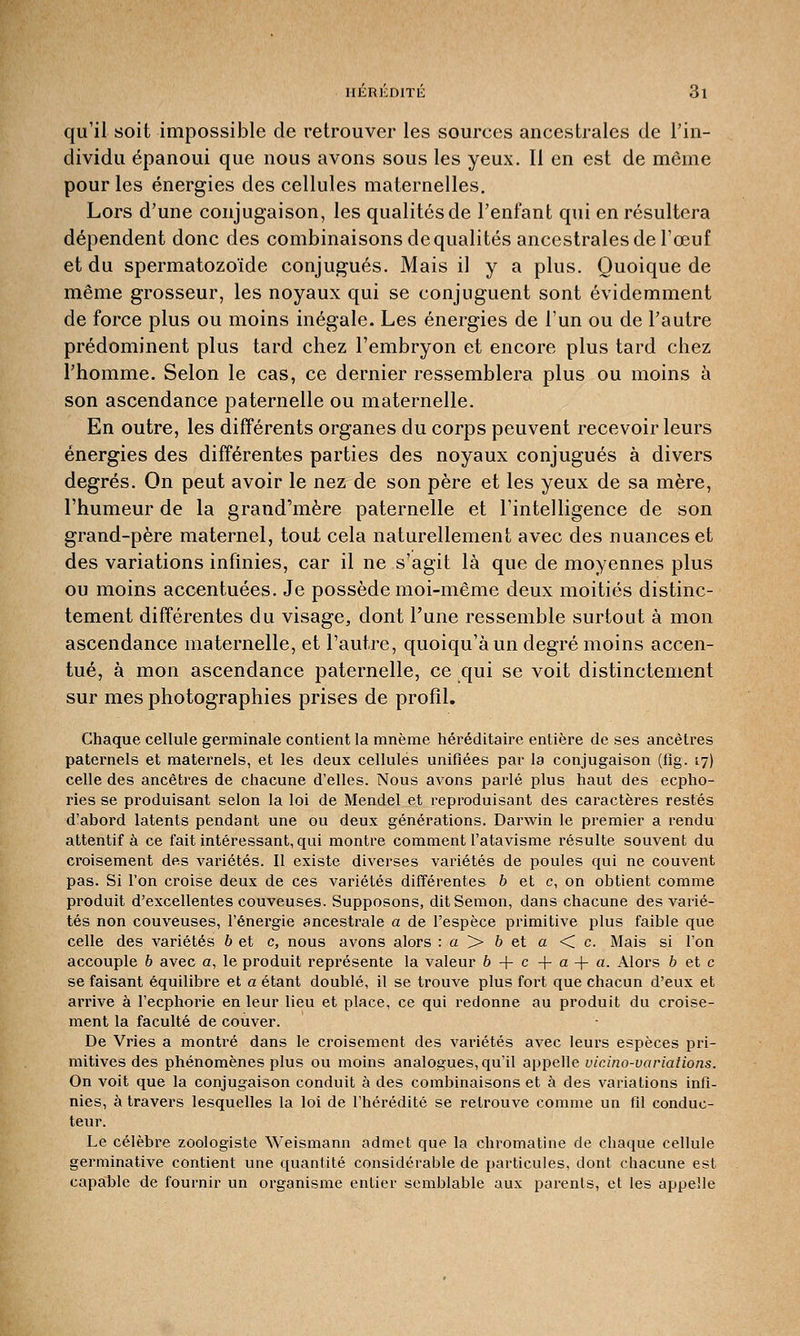 qu'il soit impossible de retrouver les sources ancestrales de l'in- dividu épanoui que nous avons sous les yeux. Il en est de même pour les énergies des cellules maternelles. Lors d'une conjugaison, les qualités de l'enfant qui en résultera dépendent donc des combinaisons de qualités ancestrales de l'œuf et du spermatozoïde conjugués. Mais il y a plus. Quoique de même grosseur, les noyaux qui se conjuguent sont évidemment de force plus ou moins inégale. Les énergies de l'un ou de l'autre prédominent plus tard chez l'embryon et encore plus tard chez l'homme. Selon le cas, ce dernier ressemblera plus ou moins à son ascendance paternelle ou maternelle. En outre, les différents organes du corps peuvent recevoir leurs énergies des différentes parties des noyaux conjugués à divers degrés. On peut avoir le nez de son père et les yeux de sa mère, l'humeur de la grand'mère paternelle et l'intelligence de son grand-père maternel, tout cela naturellement avec des nuances et des variations infinies, car il ne s'agit là que de moyennes plus ou moins accentuées. Je possède moi-même deux moitiés distinc- tement différentes du visage, dont l'une ressemble surtout à mon ascendance maternelle, et l'autre, quoiqu'àun degré moins accen- tué, à mon ascendance paternelle, ce qui se voit distinctement sur mes photographies prises de profil. Chaque cellule germinale contient la mnème héréditaire entière de ses ancêtres paternels et maternels, et les deux cellules unifiées par la conjugaison (fig. 17) celle des ancêtres de chacune d'elles. Nous avons parlé plus haut des ecpho- ries se produisant selon la loi de Mendel et reproduisant des caractères restés d'abord latents pendant une ou deux générations. Darwin le premier a rendu attentif à ce fait intéressant, qui montre comment l'atavisme résulte souvent du croisement des variétés. Il existe diverses variétés de poules qui ne couvent pas. Si l'on croise deux de ces variétés différentes b et c, on obtient comme produit d'excellentes couveuses. Supposons, ditSemon, dans chacune des varié- tés non couveuses, l'énergie ancestrale a de l'espèce primitive plus faible que celle des variétés b et c, nous avons alors : a > b et a < c. Mais si l'on accouple b avec a, le produit représente la valeur b + c + a + a. Alors b et c se faisant équilibre et a étant doublé, il se trouve plus fort que chacun d'eux et arrive à l'ecphorie en leur lieu et place, ce qui redonne au produit du croise- ment la faculté de couver. De Vries a montré dans le croisement des variétés avec leurs espèces pri- mitives des phénomènes plus ou moins analogues, qu'il appelle vicino-variations. On voit que la conjugaison conduit à des combinaisons et à des variations infi- nies, à travers lesquelles la loi de l'hérédité se retrouve comme un fil conduc- teur. Le célèbre zoologiste Weismann admet que la chromatine de chaque cellule germinative contient une quantité considérable de particules, dont chacune est capable de fournir un organisme entier semblable aux parents, et les appelle
