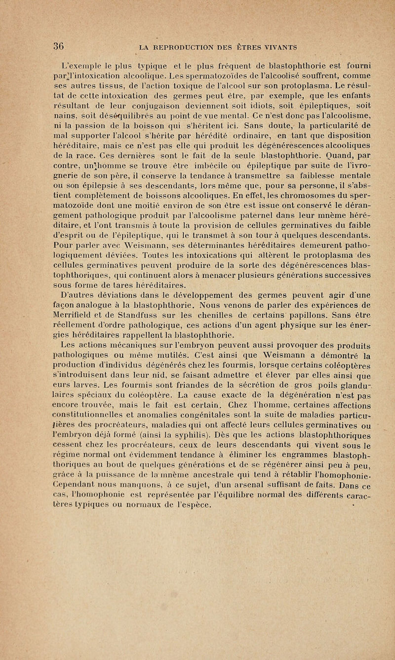 L'exemple le plus typique et le plus fréquent de blastophthorie est fourni pai\Tintoxication alcoolique. Les spermatozoïdes de l'alcoolisé souffrent, comme ses autres tissus, de l'action toxique de l'alcool sur son protoplasma. Le résul- tat de cette intoxication des germes peut être, par exemple, que les enfants résultant de leur conjugaison deviennent soit idiots, soit épileptiques, soit nains, soit déséquilibrés au point de vue mental. Ce n'est donc pas l'alcoolisme, ni la passion de la boisson qui s'héritent ici. Sans doute, la particularité de mal supporter l'alcool s'hérite par hérédité ordinaire, en tant que disposition héréditaire, mais ce n'est pas elle qui produit les dégénérescences alcooliques de la race. Ces dernières sont le fait de la seule blastophthorie. Quand, par contre, unjhomme se trouve être imbécile ou épileptique par suite de l'ivro- gnerie de son père, il conserve la tendance à transmettre sa faiblesse mentale ou son épilepsie à ses descendants, lors même que, pour sa personne, il s'abs- tient complètement de boissons alcooliques. En effet, les chromosomes du sper- matozoïde dont une moitié environ de son être est issue ont conservé le déran- gement pathologique produit par l'alcoolisme paternel dans leur mnème héré- ditaire, et l'ont transmis à toute la provision de cellules germinatives du faible d'esprit ou de l'épileptique, qui le transmet à son tour à quelques descendants. Pour parler avec Weismann, ses déterminantes héréditaires demeurent patho- logiquement déviées. Toutes les intoxications qui altèrent le protoplasma des cellules germinatives peuvent produire de la sorte des dégénérescences blas- tophthoriques, qui continuent alors à menacer plusieurs générations successives sous forme de tares héréditaires. D'autres déviations dans le développement des germes peuvent agir d'une façon analogue à la blastophthorie. Nous venons de parler des expériences de Merrifield et de Standfuss sur les chenilles de certains papillons. Sans être réellement d'ordre pathologique, ces actions d'un agent physique sur les éner- gies héréditaires rappellent la blastophthorie. Les actions mécaniques sur l'embryon peuvent aussi provoquer des produits pathologiques ou même mutilés. C'est ainsi que Weismann a démontré la production d'individus dégénérés chez les fourmis, lorsque certains coléoptères s'introduisent dans leur nid, se faisant admettre et élever par elles ainsi que eurs larves. Les fourmis sont friandes de la sécrétion de gros poils glandu- laires spéciaux du coléoptère. La cause exacte de la dégénération n'est pas encore trouvée, mais le fait est certain. Chez l'homme, certaines affections constitutionnelles et anomalies congénitales sont la suite de maladies particir- jières des procréateurs, maladies qui ont affecté leurs cellules germinatives ou l'embryon déjà formé (ainsi la syphilis). Dès que les actions blastophthoriques cessent chez les procréateurs, ceux de leurs descendants qui vivent sous le régime normal ont évidemment tendance à éliminer les engrammes blastoph- thoriques au bout de quelques générations et de se régénérer ainsi peu à peu, grâce à la puissance de la mnème ancestrale qui tend à rétablir l'homophonie- Cependant nous manquons, à ce sujet, d'un arsenal suffisant de faits. Dans ce cas, l'homophonie est représentée par l'équilibre normal des différents carac- tères typiques ou normaux de l'espèce.