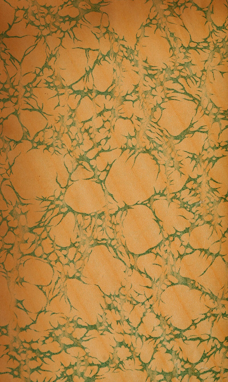 V ?Kj ^rw'^j ffltil A / V / ^ *^ lÉIsL Ml-