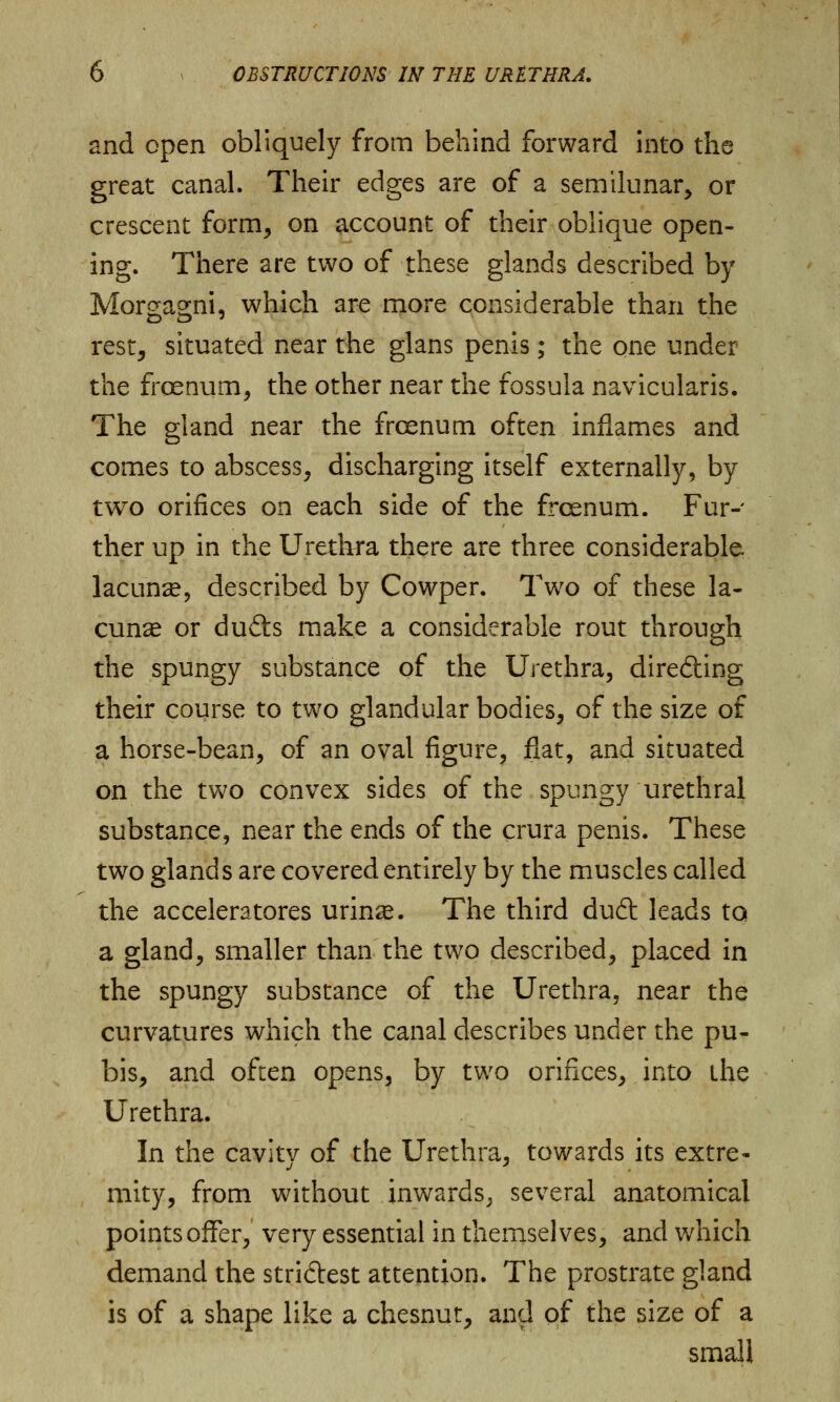 and open obliquely from behind forward into the great canal. Their edges are of a semilunar or crescent form, on account of their oblique open- ing. There are two of these glands described by Morgagni, which are more considerable than the rest, situated near the glans penis; the one under the frcenum, the other near the fossula navicularis. The gland near the frcenum often inflames and comes to abscess, discharging itself externally, by two orifices on each side of the frcenum. Fur- ther up in the Urethra there are three considerable lacunse, described by Cowper. Two of these la- cunae or dufts make a considerable rout through the spungy substance of the Urethra, directing their course to two glandular bodies, of the size of a horse-bean, of an oval figure, flat, and situated on the two convex sides of the spungy urethral substance, near the ends of the crura penis. These two glands are covered entirely by the muscles called the accelerators urin^e. The third duft leads to a gland, smaller than the two described, placed in the spungy substance of the Urethra, near the curvatures which the canal describes under the pu- bis, and often opens, by two orifices, into the Urethra. In the cavity of the Urethra, towards its extre- mity, from without inwards., several anatomical points offer, very essential in themselves, and which demand the strictest attention. The prostrate gland is of a shape like a chesnut, and of the size of a small