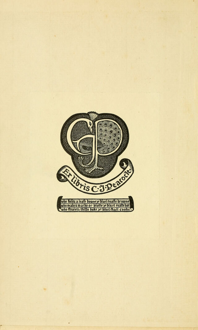 digitised image 2