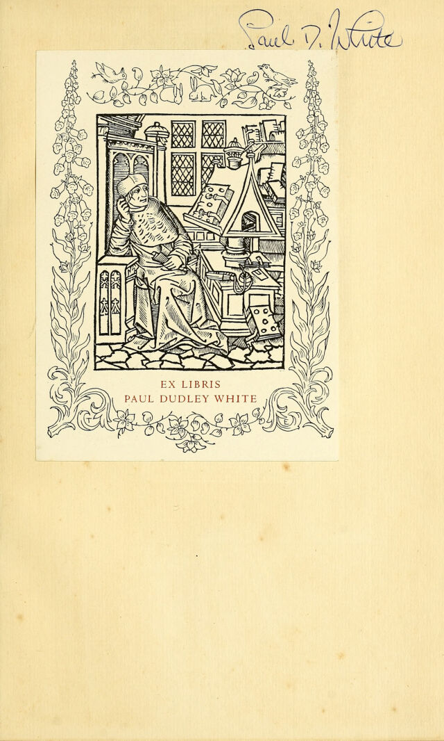 digitised image 3