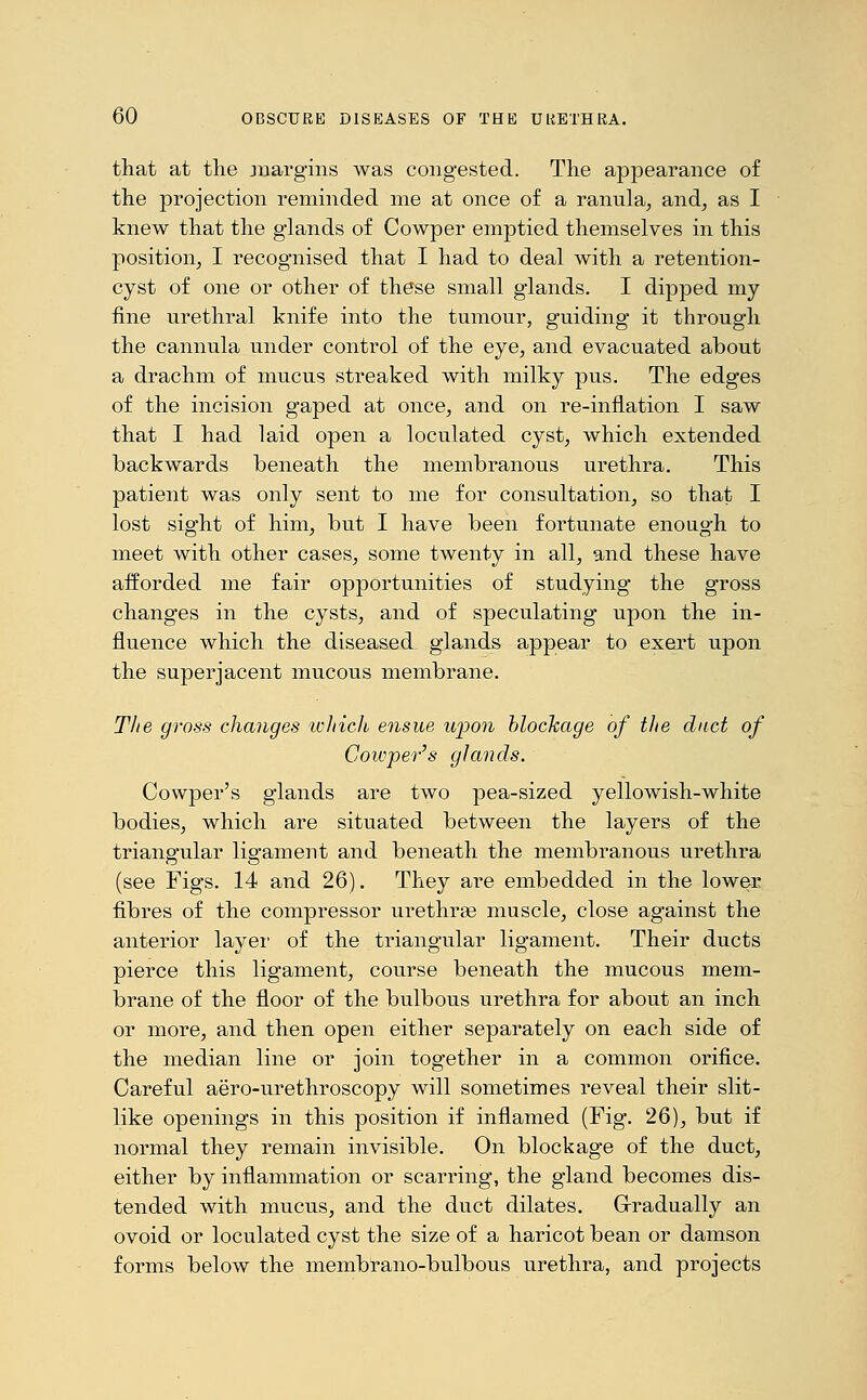 that at the margins was congested. The appearance of the projection reminded me at once of a ranula, and, as I knew that the glands of Cowper emptied themselves in this position, I recognised that I had to deal with a retention- cyst of one or other of these small glands. I dipped my fine urethral knife into the tumour, guiding it through the cannula under control of the eye, and evacuated about a drachm of mucus streaked with milky pus. The edges of the incision gaped at once, and on re-inflation I saw that I had laid open a loculated cyst, which extended backwards beneath the membranous urethra. This patient was only sent to me for consultation, so that I lost sight of him, but I have been fortunate enough to meet with other cases, some twenty in all, and these have afforded me fair opportunities of studying the gross changes in the cysts, and of speculating upon the in- fluence which the diseased glands appear to exert upon the superjacent mucous membrane. The gross changes which ensue upon blockage of tlie duct of Cowper's glands. Cowper's glands are two pea-sized yellowish-white bodies, which are situated between the layers of the triangular ligament and beneath the membranous urethra (see Figs. 14 and 26). They are embedded in the lower fibres of the compressor urethras muscle, close against the anterior layer of the triangular ligament. Their ducts pierce this ligament, course beneath the mucous mem- brane of the floor of the bulbous urethra for about an inch or more, and then open either separately on each side of the median line or join together in a common orifice. Careful aero-urethroscopy will sometimes reveal their slit- like openings in this position if inflamed (Fig. 26), but if normal they remain invisible. On blockage of the duct, either by inflammation or scarring, the gland becomes dis- tended with mucus, and the duct dilates. Gradually an ovoid or loculated cyst the size of a haricot bean or damson forms below the membrano-bulbous urethra, and projects