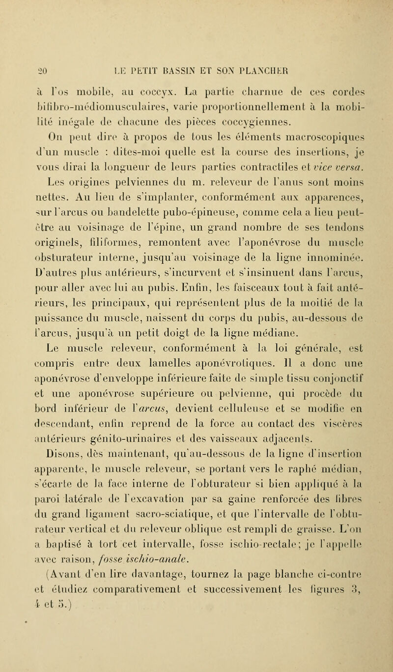 à l'os mobile, au coccyx. La partie charnue de ces cordes bifibro-médiomusculaires, varie proportionnellement à la mobi- lité inégale Je chacune des pièces coccygiennes. On peut dire à propos de tous les éléments macroscopiques d'un muscle : dites-moi quelle est la course des insertions, je vous dirai la longueur de leurs parties contractiles et vice versa. Les origines pelviennes du m. releveur de l'anus sont moins nettes. Au lieu de s'implanter, conformément aux apparences, sur l'arcus ou bandelette pubo-épineuse, comme cela a lieu peut- être au voisinage de l'épine, un grand nombre de ses tendons originels, filiformes, remontent avec l'aponévrose du muscle obsturateur interne, jusqu'au voisinage de la ligne innôminée. D'autres plus antérieurs, s'incurvent et s'insinuent dans l'arcus, pour aller avec lui au pubis. Enfin, les faisceaux tout à fait anté- rieurs, les principaux, qui représentent plus de la moitié de la puissance du muscle, naissent du corps du pubis, au-dessous de l'arcus, jusqu'à un petit doigt de la ligne médiane. Le muscle releveur, conformément à la loi générale, est compris entre deux lamelles aponévrotiques. 11 a donc une aponévrose d'enveloppe inférieure faite de simple tissu eonjonctif et une aponévrose supérieure ou pelvienne, qui procède du bord inférieur de Yarcus, devient cellulcuse et se modifie en descendant, enfin reprend de la force au contact des viscères antérieurs génito-urinaires et des vaisseaux adjacents. Disons, dès maintenant, qu'au-dessous de la ligne d'insertion apparente, le muscle releveur, se portant vers le raphé médian, s'écarte de la face interne de l'obturateur si bien appliqué à la paroi latérale de l'excavation par sa gaine renforcée des libres du grand ligament sacro-sciatique, et que l'intervalle de l'obtu- rateur vertical et du releveur oblique est rempli de graisse. L'on a baptisé à tort cet intervalle, fosse ischio-rectale ; je l'appelle avec raison, fosse iscliio-anale. (Avant d'en lire davantage, tournez la page blanche ci-contre et étudiez comparativement et successivement les ligures 3, ï- et 5.)
