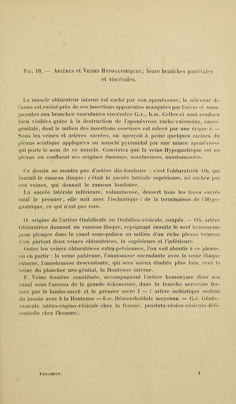 Img. 10. — Artères et Veines Hypogastriques; leurs branches pariétales et viscérales. Le muscle obturateur interne est caché par son aponévrose; le releveur de l'anus est excisé près de ses insertions apparentes masquées par Varcus et sous- jacentes aux branches vasculaires viscérales G.v., h.m. Celles-ci sont rendues bien visibles grâce à la destruction de l'aponévrose cache-vaisseaux, sacro- génitale, dont le milieu des insertions osseuses est relevé par une érigne e. — Sous les veines et artères sacrées, on aperçoit à peine quelques racines du plexus sciatique appliquées au muscle pyramidal par une mince aponévrose qui porte le nom de ce muscle. Constatez que la veine Hypogastrique est un plexus où confluent ses origines énormes, nombreuses, anastomosées. Ce dessin ne montre pas d'artère ilio-lombairc : c'est l'obturatrice Ob, qui fournit le rameau iliaque; c'était la sacrée latérale supérieure, ici cachée par ses veines, qui donnait le rameau lombaire. La sacrée latérale inférieure, volumineuse, dessert tous les trous sacrés sauf le premier; elle naît avec l'ischiatique i de la terminaison de l'Hypo- iraslrique, ce qui n'est pas rare. O. origine de l'artère Ombilicale ou Ombilico-vésicale, coupée. — Ob. artère Obturatrice donnant un rameau iliaque, rejoignant ensuite le nerf homonyme pour plonger dans le canal sous-pubien au milieu d'un riche plexus veineux d'où partent deux veines obturatrices, la supérieure et l'inférieure. Outre les veines obturatrices extra-pelviennes, l'on voit aboutir à ce plexus, ou en partir : la veine pubienne, l'anatomose ascendante avec la veine iliaque externe, l'anastomose descendante, qui sera mieux étudiée plus loin, avec la veine du plancher uro-génital, la Honteuse interne. F. Veine fessière constituée, accompagnant l'artère homonyme dans son canal sous l'arceau de la grande échancrure, dans la fourche nerveuse for- mée par le lombo-sacré et le premier sacré I — i artère ischiatique sortant du bassin avec h la Honteuse —h.m. Ilémorrhoïdale moyenne. — G.v. Génito- vésicale (utéro-vagino-vésicale chez la femme, prostato-vésico-vésiculo-défé- îentielle chez l'homme .