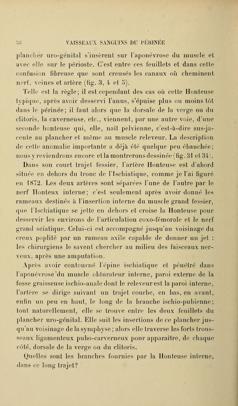 plancher uro-génital s'insèrent sur l'aponévrose du muscle et avec elle sur le périoste. C'est entre ces feuillets et dans cette confusion fibreuse que sont creusés les canaux où cheminent nerf, veines et artère (fig. 3, 4 et 5). Telle est la règle; il est cependant des cas où cette Honteuse typique, après avoir desservi l'anus, s'épuise plus ou moins tôt dans le périnée; il faut alors que la dorsale de la verge ou du clitoris, la caverneuse, etc., viennent, par une autre voie, d'une seconde honteuse qui, elle, naît pelvienne, c'est-à-dire sus-ja- cente au plancher et même au muscle releveur. La description de cette anomalie importante a déjà été quelque peu ébauchée; nous y reviendrons encore et la montrerons dessinée (fig. 31 et-34). Dans son court trajet fessier, l'artère Honteuse est d'abord située en dehors du tronc de l'fschiatique, comme je l'ai figuré en 1872. Les deux artères sont séparées l'une de l'autre par le nerf Honteux interne; c'est seulement après avoir donné les rameaux destinés à l'insertion interne du muscle grand fessier, que l'Ischiatique se jette en dehors et croise la Honteuse pour desservir les environs de l'articulation coxo-fémorale et le nerf grand sciatique. Celui-ci est accompagné jusqu'au voisinage du creux poplité par un rameau axile capable de donner un jet : les chirurgiens le savent chercher au milieu des faisceaux ner- veux, après une amputation. Après avoir contourné l'épine ischiatique et pénétré dans l'aponévrose du muscle obturateur interne, paroi externe de la fosse graisseuse ischio-analc dont le releveur est la paroi interne, l'artère se dirige suivant un trajet courbe, en bas, en avant, enfin un peu en haut, le long de la branche ischio-pubienne; tout naturellement, elle se trouve entre les deux feuillets du plancher uro-génital. Elle suit les insertions de ce plancher jus- qu'au voisinage de la symphyse ; alors elle traverse les forts trous- seaux ligamenteux pubo-carverneux pour apparaître, de chaque coté, dorsale de la verge ou du clitoris. Quelles sont les branches fournies par la Honteuse interne, ^lans ce long trajet?