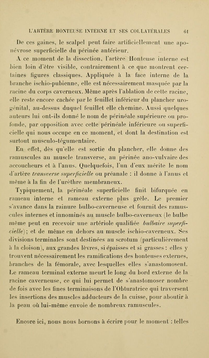 De ces gaines, le scalpel peut faire artificiellement une apo- névrose superficielle du périnée antérieur. A ce moment de la dissection, l'artère Honteuse interne est bien loin d'être visible, contrairement à ce que montrent cer- taines ligures classiques. Appliquée à la face interne de la branche ischio-pubienne, elle est nécessairement masquée parla racine du corps caverneux. Même après l'ablation de cette racine, elle reste encore cachée parle feuillet inférieur du plancher uro- génital, au-dessus duquel feuillet elle chemine. Aussi quelques auteurs lui ont-ils donné le nom de périnéale supérieure ou pro- fonde, par opposition avec cette périnéale inférieure ou superfi- cielle qui nous occupe en ce moment, et dont la destination est surtout musculo-tégumentaire. En effet, dès qu'elle est sortie du plancher, elle donne des ramuscules au muscle transverse, au périnée ano-vulvaire des accoucheurs et à l'anus. Quelquefois, l'un d'eux mérite le nom d'artère transverse superficielle ou préanale : il donne à l'anus et même à la fin de l'urèthre membraneux. Typiquement, la périnéale superficielle finit bifurquée en rameau interne et rameau externe plus grêle. Le premier s'avance dans la rainure bulbo-caverneuse et fournit des ramus- cules internes et innommés au muscle bulbo-caverneux (le bulbe même peut en recevoir une artériole qualifiée bulbaire superfi- cielle) ; et de même en dehors au muscle ischio-caverneux. Ses divisions terminales sont destinées au scrotum (particulièrement à la cloison), aux grandes lèvres, si épaisses et si grasses : elles y trouvent nécessairement les ramifications des honteuses externes, branches de la fémorale, avec lesquelles elles s'anastomosent. Le rameau terminal externe meurt le long du bord externe de la racine caverneuse, ce qui lui permet de s'anastomoser nombre de fois avec les fines terminaisons de l'Obturatrice qui traversent les insertions des muscles adducteurs de la cuisse, pour aboutir à la peau où lui-même envoie de nombreux ramuscules. Encore ici, nous nous bornons à écrire pour le moment : telles