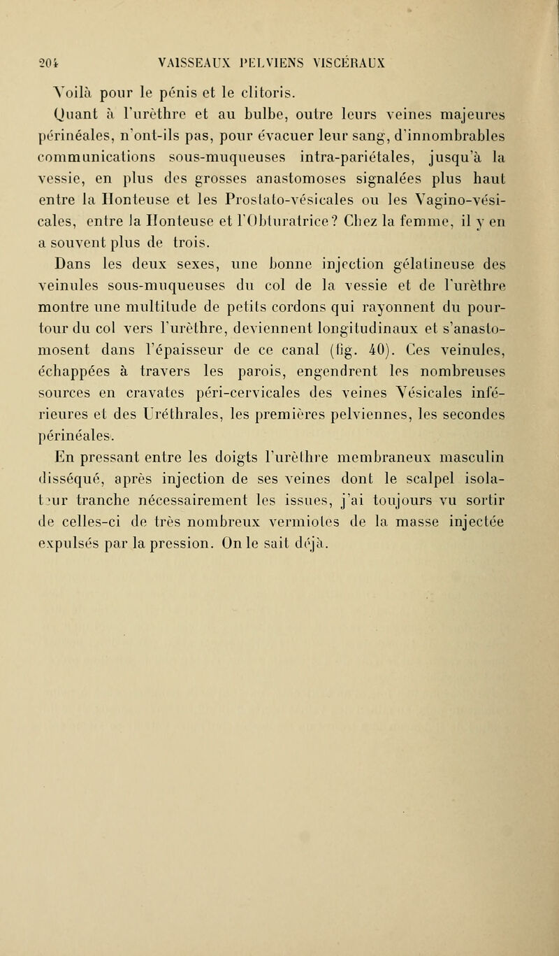 Voilà pour le pénis et le clitoris. Quant à l'urèthre et au bulbe, outre leurs veines majeures périnéales, n'ont-ils pas, pour évacuer leur sang, d'innombrables communications sous-muqueuses intra-pariétales, jusqu'à la vessie, en plus des grosses anastomoses signalées plus haut entre la Honteuse et les Proslato-vésicales ou les Vagino-vési- cales, entre Ja Honteuse et l'Obturatrice? Cbez la femme, il y en a souvent plus de trois. Dans les deux sexes, une bonne injection gélatineuse des veinules sous-muqueuses du col de la vessie et de l'urèthre montre une multitude de petits cordons qui rayonnent du pour- tour du col vers l'urèthre, deviennent longitudinaux et s'anasto- mosent dans l'épaisseur de ce canal (fig. 40). Ces veinules, échappées à travers les parois, engendrent les nombreuses sources en cravates péri-cervicales des veines Yésicales infé- rieures et des Uréthrales, les premières pelviennes, les secondes périnéales. En pressant entre les doigts l'urèthre membraneux masculin disséqué, après injection de ses veines dont le scalpel isola- teur tranche nécessairement les issues, j'ai toujours vu sortir de celles-ci de très nombreux vermiotes de la masse injectée expulsés par la pression. On le sait déjà.