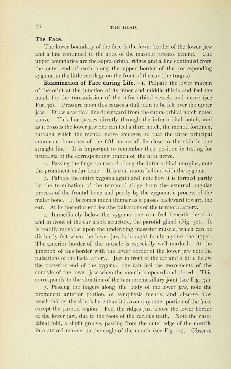 The Face. The lower boundary of the face is the lower border of the lower jaw and a line continued to the apex of the mastoid process behind. The upper boundaries are the supra-orbital ridges and a line continued from the outer end of each along the upper border of the corresponding zygoma to the little cartilage on the front of the ear (the tragus). Examination of Face during Life.—i. Palpate the lower margin of the orbit at the junction of its inner and middle thirds and feel the notch for the transmission of the infra-orbital vessels and nerve (see Fig. 3c). Pressure upon this causes a dull pain to be felt over the upper jaw. Draw a vertical line downward from the supra-orbital notch noted above. This line passes directly through the infra-orbital notch, and as it crosses the lower jaw one can feel a third notch, the mental foramen, through which the mental nerve emerges, so that the three principal cutaneous branches of the fifth nerve all lie close to the skin in one straight line. It is important to remember their position in testing for neuralgia of the corresponding branch of the fifth nerve. 2. Passing the fingers outward along the infra-orbital margins, note the prominent malar bone. It is continuous behind with the zygoma. 3. Palpate the entire zygoma again and note how it is formed partly by the termination of the temporal ridge from the external angular process of the frontal bone and partly by the zygomatic process of the malar bone. It becomes much thinner as it passes backward toward the ear. At its posterior end feel the pulsations of the temporal artery. 4. Immediately below the zygoma one can feel beneath the skin and in front of the ear a soft structure, the parotid gland (Fig. 30). It is readily movable upon the underlying masseter muscle, which can be distinctly felt when the lower jaw is brought firmly against the upper. The anterior border of the muscle is especially well marked. At the junction of this border with the lower border of the lower jaw note the pulsations of the facial artery. Just in front of the ear and a little below the posterior end of the zygoma, one can feel the movements of the condyle of the lower jaw when the mouth is opened and closed. This corresponds to the situation of the temporomaxillary joint (see Fig. 31). 5. Passing the fingers along the body of the lower jaw, note the prominent anterior portion, or symphysis mentis, and observe how much thicker the skin is here than it is over any other portion of the face, except the parotid region. Feel the ridges just above the lower border of the lower jaw, due to the roots of the various teeth. Note the naso- labial fold, a slight groove, passing from the outer edge of the nostrils in a curved manner to the angle of the mouth (see Fig. 20). Observe