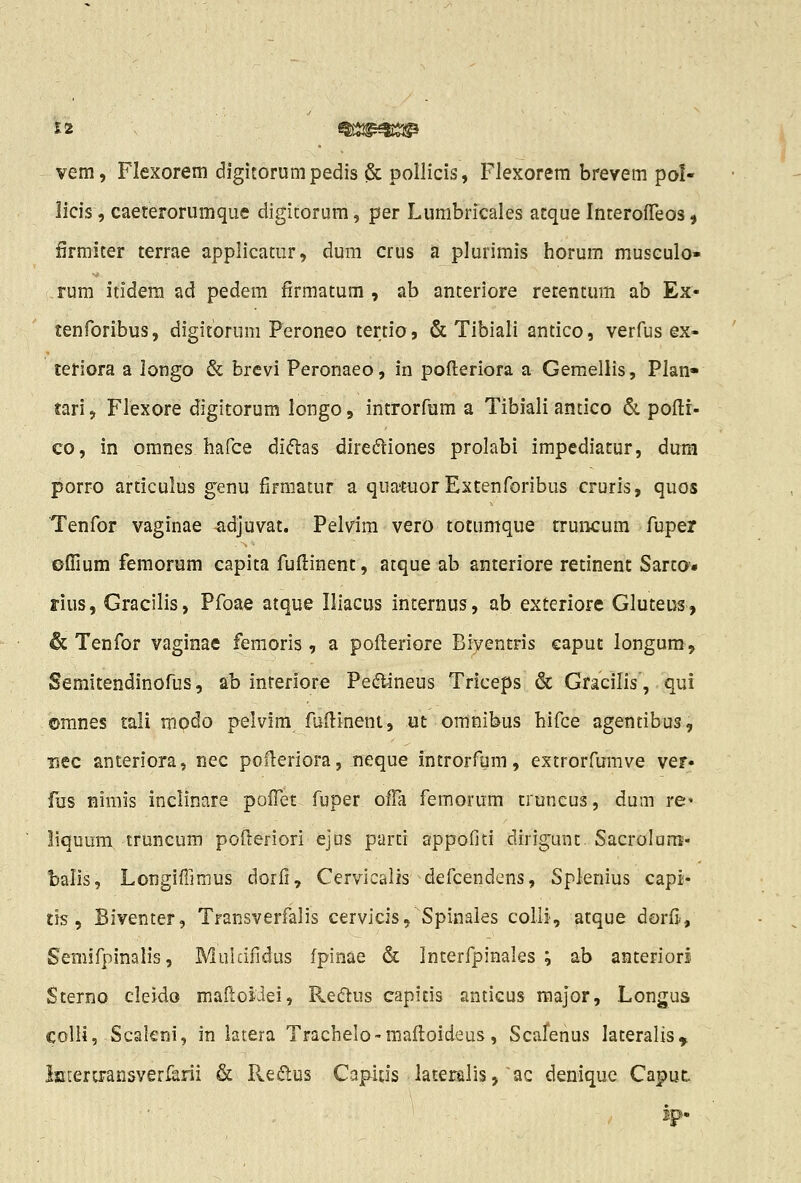 £2 ^lim^j:^ vem, Flexorem digitorumpedis & pollicis, Flexorem brevem pol- licis, caeterorumque digitorum, per Lumbricales atque InteroiTeos, firmiter terrae applicatur, dum crus a plurimis horum musculo- rum itidera ad pedem firmatum , ab anteriore retentum ab Ex- tenforibus, digitorum Peroneo tertio, & Tibiali antico, verfus ex- teriora a longo & brevi Peronaeo, in pofteriora a Gemellis, Plan» tari, Flexore digitorum longo, introrfum a Tibiali antico & polli- co, in omnes hafce di(5las dirediones prolabi impediatur, dum porro articulus g'enu firmatur a qua«uor Extenforibus cruris, quos Tenfor vaginae adjuvat. Pelvim vero totumque rruncum fuper oflium femorum capita fuftinent, atque ab anteriore retinent SartO'» rius, Gracilis, Pfoae atque Iliacus intenius, ab exteriore Gluteus, <& Tenfor vaginae femoris , a pofleriore Biventris eaput longum, Semitendinofus, ab inreriore Pedlineus Triceps & Gracilis, qui emnes tali modo pelvim fuilinent, ut omnibus hifce agentibus, Tsec anteriora, nec pofleriora, neque introrfum, extrorfumve vef. fus niniis inclinare pofTet fuper offa femorum truneus, dum re» liquum truncum poftefiori eJDS parti appofiti dirigunt Sacrolarre- balis, Longiffimus dorfi, Cervicalis defcendens, Splenius capi- tis, Biventer, Transverfalis cervicis, Spinales colli', atque dorfi, Semifpinalis, Mulcifidus fpinae & Interfpinales ; ab anteriorl Sterno cleido mafloidei, Reftus capitis anticus raajor, Longus colii, Scakni, in latera Trachelo-mafloideus, Scafenus lateralis^ latertransverfarii & Redus Capids laterfilis,ac deniquc Caput