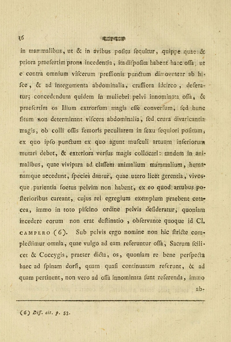 priora praefertim prona incedentia, itadifpofita habent hacc oiTa, ut e contra omnium vifcerum preflionis pun6lum dinioveatLir ab hi« fce, & ad integumenta abdominalia, crafliora idcirco , defera- tur: concedendum quidem in muliebri. pelvi innominata oiTa, & praefertim os Ilium extrorfum magis efl^ converfura, fed hunc fitum Hon decerminant vifcera abdominalia, fed crura divaricantia- inagis, bb colli ofiis femoris peculiarem in fexu fequiori pofitum, ex quo ipfo pundum ex quo agunt mufculi artuiira inferiorum mutari debet, & exteriora verfus magis collocari: tandera in ani« malibus, quae vivipara ad clafrem animalium mammalium, huma* namque accedtmt, fpecies dantur, quae ucero licet gerentia, vivos- que parientia foetus pelvim non^ habent, ex eo quod:a:rtubus po- ilerioribus careant, cujus rei egregium exemplum praebenE ceta;» cea, immo in toto pifcino ordine pelvis defideratur, quoniara ii^cedere eorum non erat defl:inatio , obfervante quoque id Cl. CAMPERO (6). Sub pelvis ergo nomine non hic flri<5le cora- pledimur omnia, quae vulgo ad eam referuntur ofl^a, Sacrura fcili- cet & Coccygis, praeter difla, os, quoniam re bene perfpefla baec ad fpinam dorfi, qUam quafi continuatam referunt, 6c ad quam pertinent, non vero ad ofl^a innominata funt referenda, immo ab- <5) Dif. cit. /.53-