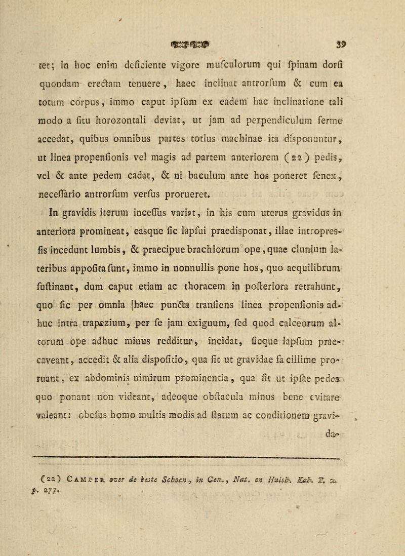 quondam ereclam tenuere, haec incliniu antrorfum & cum ca totum corpus, immo caput ipfum ex eadcm hac inclinatione talt modo a fitu horozontali deviat, ut jam ad perpcndiculum ferme accedat, quibus omnibus partes totius macbinae ita disponuntur, ut Jinea propenfionis vel magis ad parcem anteriorem (22) pedis, vel & ante pedem cadat, & ni baculum ante hos poneret fenex, neceffario antrorfum verfus prorueret. In gravidis iterum incelTus varijt, in his cum uterus gravidus in anteriora promineat, easque fic lapfui praedisponac, illae intropres- fis incedunt lumbis, & praecipuebrachiorum ope,quae clunium la* teribus appoficafunt, immo in nonnullis pone hos, quo aequilibrum fuftinant, dum caput etiam ac thoracem m polleriora retrahunt, quo fic per omnia [haec punfta tranfiens linea propenfionis ad- huc intra trap£zium, per fe jam exiguum, fed quod ealceorum al- torum ope adhuc minus redditur, incidat, ficque lap-fum prae-- caveant, accedit & alia dispofido, qua fit ut gravrdae facillime pro- luant. ex abdominis nimirum prominentia, qua fit ut ipfaepedes.- quo poriant non videant, adeoque obilacula minus bene evicaFe valeant; obefus homo multis modis ad fiiatum ae conditionem gravl- C22) Camser. s-ssr dc tiste Sckaen^ In Gen., Nai. cn Huish. Eel^ T, &,