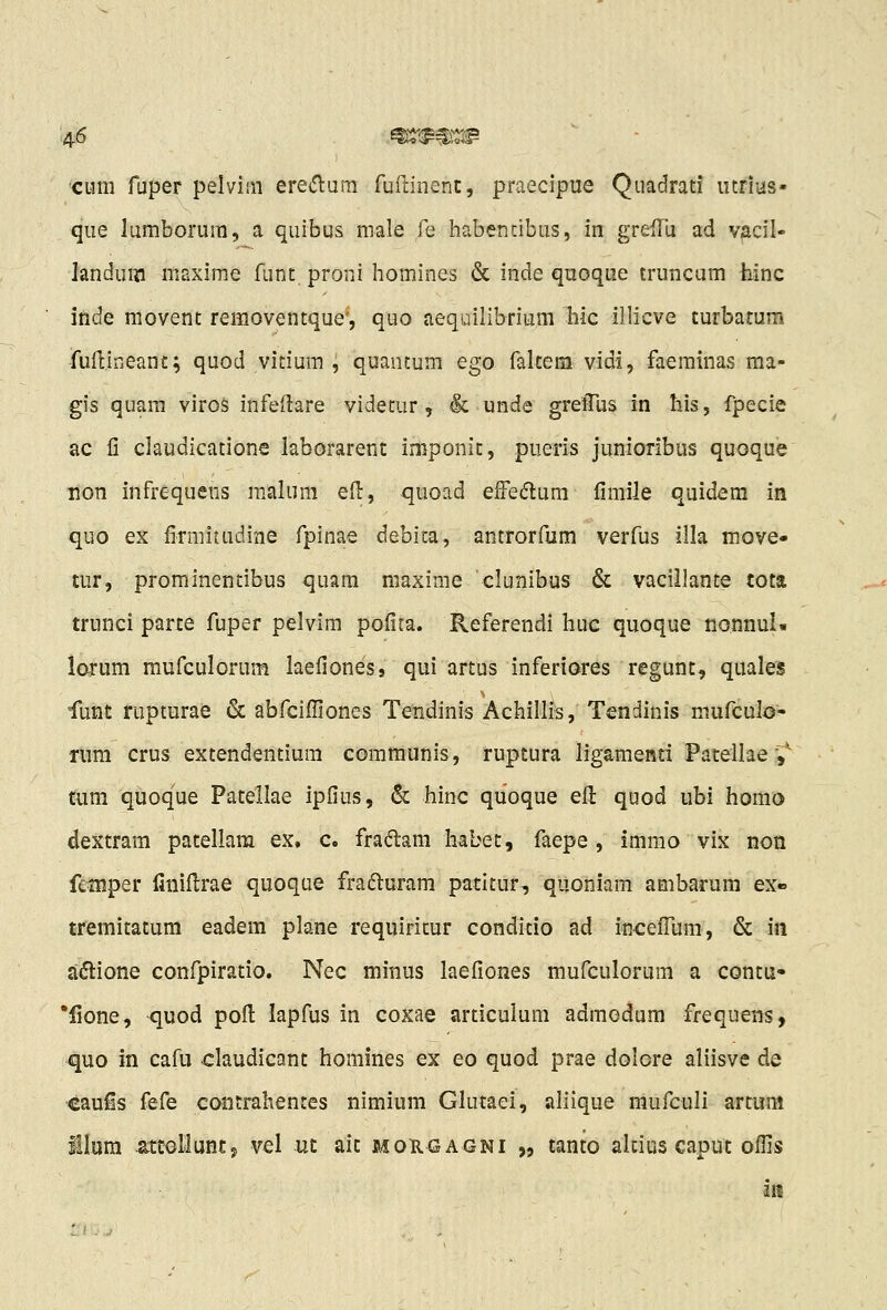 'cnm fuper pelvim ere(5lum ruilinenc, praecipue Quadrati utrius- que lumborum, a quibus male fe habentibus, in grdTu ad vacil- landum maxime funt proni homines & inde quoque truncum iiinc inde raovent removentque', quo aequilibrium hic illicve turbatum fullineanc; quod vitium , quantum ego faltem vidi, faeminas ma- gis quara viroS infedare videtur, & unde gretTus in Iiis, fpecie ac li claudicatione laborarent imponit, pueris junioribus quoque non infrequens malura ell, quoad effedum limile quidem in quo ex firmitudine fpinae debita, antrorfum verfus illa move- tur, prominentibus quam maxime clunibus & vacillante tota trunci parte fuper pelvim pofita. Referendi huc quoque nonnuU lorum raufculorum laelioness qui artus inferiores regunt, quales iunt rupturae & abfciffiones Tendinis Achillis, Tendinis mufculo- rum crus extendentiura communis, ruptura ligamenti Pateilae ,^ tum quoque Patellae ipfius, & hinc quoque ell quod ubi homo dextram patellam ex, c. fradam habet, faepe, immo vix non femper finiilrae quoque fradluram patltur, quoniam ambarum ex» tremitatura eadem plane requiritur conditio ad incefTum, & in adione confpiratio. Nec minus laefiones mufculorum a contu- Tione, quod poft lapfus in coxae articulum admGdum frequens, quo in cafu claudicant homines ex eo quod prae dolore aliisve de cau^s i^eCe contrahentes nimium Glutaei, aliique mufculi artum lllum atCGlluHt, vel uc ait mokgagni „ tanto altius caput offis 318