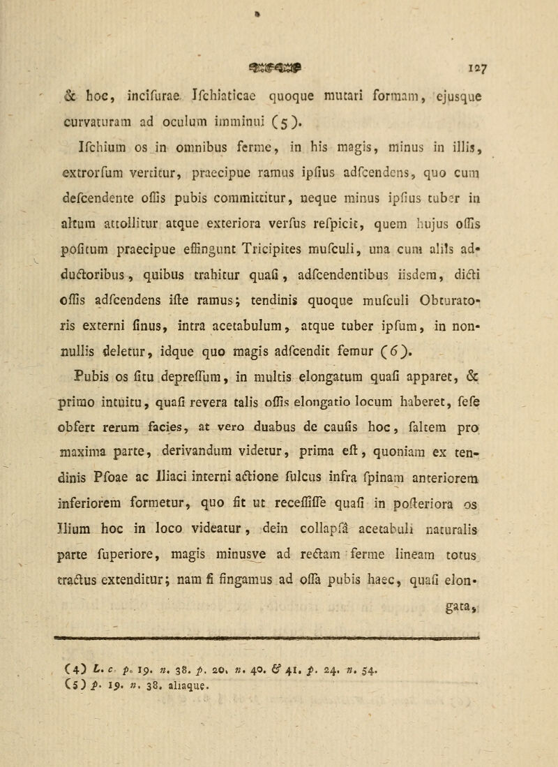 tSc hoe, incifurae Ifchiaticae quoque mutari formam, ejusque curvaturam ad oculum imminui (5). Ifchium os in omnibus fcrme, in his magis, minus in illis, extrorfum ver[itur, praecipue ramus ipfius adfcendcns, quo cum defcendente offis pubis commictitur, ueque minus ipfius tub?r in akum attoilitur atque exteriora verfus refpicic, quem hujus oflls pofitum praecipue effingunt Tricipites mufculi, una cum alils ad* du(^oribus, quibus trahitur quafi, adfcendentibus lisdera, di(5ti offis adfcendens ifi;e ramus; tendinis quoque mufculi Obcurato- ris externi finus, intra acetabulum,. atque tuber ipfum, in non- nullis deletur, idque quo magis adfcendic femur (^6). Pubis os fitu deprefllim, in multis elongatum quafi apparet, & prirao intuitu, quafi revera talis offis elongatio locum haberet, fefe obferc rerum facies, at vero duabus de caufis hoc, fakem pro maxima parte, derivandum videtur, prima efl:, quoniara ex ten- dinis Pfoae ac lliaci interni adlione fulcus infra fpinam anteriorem inferiorem formetur, quo fit ut receffifl^e quafi in poderiora os Ilium hoc in loco videatur, dein collapf^ acetabuli nacuralis parce fuperiore, magis minusye ad redlam ferme lineam totus. tradus extenditur; nam fi fingamus ad ofla pubis haec, quafi elon- gata, (4) L. c p, 19. n, 38. p. ao, n, 40. (^ 41, p. 24, n. 54.