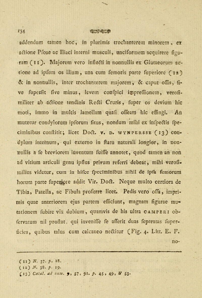 addendum taiiien hoc, in plurimis trodianterem minorem , cx aftione Pfoae ac Iliaci interni niusculi, unciformem acquirere figu- fam C 11}. Majorem vero infle(5li in nonnullis ex Glutaeorum ac- tione ad ipfum os llium, una cum femoris parce fuperiore (la) & in nonnullis, inter trochanterem majorem, & caput offis, fi- ve fupeKfit ftve minus, levem confpici iippreflionera, verofi- militer ab adVioae tendinis Redli Cruris, fuper os devium hic moti, immo in multis lamellam quafi ofl!eam hic efiingi. An mutetur condylorum ipforum fitus, nondum mihi ex infpedis fpe- ciminibus confiiitit; licet Dod. v. d. wynpersse C^S) c°* dylum intej-num, qui cxterno in fi:atu naturali longior, in non- nullis a fe breviorem iiiventum fuifTe annotet, quod tamen an non ad vitium articuli genu ipfius privum referri debeat, raihi verofi- liiilius videtur, cum in hifce fpeciminibus nihil de ipfa femorum horum parte fupe^^re addit Vir. Dofl. Neque multo certiora de Tibia, Patella, ac Fibula proferre licet, Pedis vero ofia, impri- mis quae anteriorem ejus partem efficlunt^ magnam figurae rau- tationem fubire vix dubium, quamvis de his ulcra camperi ob- fervatura nil profiat, qui invenifl^e fe afi!erit duas feparatas fuper- ficies, quibus talus cum calcaneo ne(Slicur QFig. 4. Litc. E. F. no- <lO ^- 37. P' 18. (la) N. 38. p. 19- £iS) Catal. Jid num. f, 57, 51. p. 45, 49, H 53«