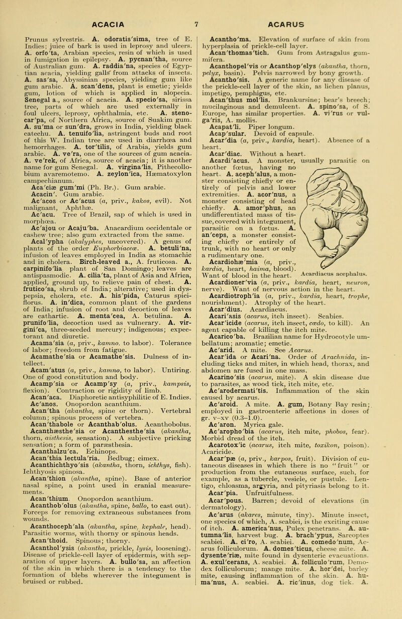 Primus sylvestris. A. odoratis'sima, tree of E. Indies; juice of bark is used in leprosy and ulcers. A. orfo'ta, Arabian species, resin of which is used in fumigation in epilepsy. A. pycnan'tha, source of Australian gum. A. raddia'na, species of Egyp- tian acacia, yielding galls* from attacks of insects. A. sas'sa, Abyssinian species, yielding gum like gum arabic. A. scan'dens, plant is emetic; yields gum, lotion of which is applied in alopecia. Senegal a., source of acacia. A. specio'sa, sirissa tree, parts of which are used externally in foul ulcers, leprosy, ophthalmia, etc. A. steno- car'pa, of Northern Africa, source of Suakim gum. A. su'ma or sun'dra, grows in India, yielding black catechu. A. tenuifo'lia, astringent buds and root of this W. Indian tree are used in diarrhoea and hemorrhages. A. tor'tilis, of Arabia, yields gum arabic. A. ve'ra, one of the sources of gum acacia. A. ve'rek, of Africa, source of acacia; it is another name for gum Senegal. A. virgina'lis, Pithecollo- bium avaremotemo. A. zeylon'ica, Hsematoxylon campechianum. Aca'cise gum'mi (Ph. Br.). Gum arabic. Acacin'. Gum arabic. Ac'acos or Ac'acus (a, priv., kakos, evil). Not malignant, Aphthae. Ac'acu. Tree of Brazil, sap of which is used in morphoea. Ac'ajou or Acaju'ba. Anacardium occidentale or cashew tree; also gum extracted from the same. Acal'ypha (akalyphes, uncovered). A genus of plants of the order Euphorbiacew. A. betuli'na, infusion of leaves employed in India as stomachic and in cholera. Birch-leaved a., A. fruticosa. A. carpinifo'lia. plant of San Domingo; leaves are antispasmodic. A. cilia'ta, plant of Asia and Africa, applied, ground up, to relieve pain of chest. A. frutico'sa, shrub of India; alterative; used in dys- pepsia, cholera, etc. A. his'pida, Caturus spici- florus. A. in'dica, common plant of the gardens of India; infusion of root and decoction of leaves are cathartic. A. menta'cea, A. betulina. A. prunifo'lia, decoction used as vulnerary. A. vir- gini'ca, three-seeded mercury; indigenous; expec- torant and diuretic. Acama'sia (a, priv., kamno. to labor). Tolerance of labor; freedom from fatigue. Acamathe'sia or Acamathe'sis. Dulness of in- tellect. Acam'atus (a, priv., kamno, to labor). Untiring. One of good constitution and body. Acamp'sia or Acamp'sy (a, priv., kampsis, flexion). Contraction or rigidity of limb. Acan'aca. Diaphoretic antisyphilitic of E. Indies. Ac'anos. Onopordon acanthium. Acan'tha (akantha, spine or thorn). Vertebral column; spinous process of vertebra. Acan'thabole or Acanthab'olus. Acanthobolus. Acanthaesthe'sia or Acanthesthe'sia (akantha, thorn, aisthesis, sensation). A subjective pricking sensation; a form of paraesthesia. Acanthalzu'ca. Echinops. Acan'thia lectula'ria. Bedbug; cimex. Acanthichthyo'sis (akantha, thorn, ichthys, fish). Ichthyosis spinosa. Acan'thion (akantha, spine). Base of anterior nasal spine, a point used in cranial measure- ments. Acan'thium Onopordon acanthium. Acanthob'olus (akantha, spine, hallo, to cast out). Forceps for removing extraneous substances from wounds. Acanthoceph'ala (akantha, spine,, kephale, head). Parasitic worms, with thorny or spinous heads. Acan'thoid. Spinous; thorny. Acanthol'ysis (akantha, prickle, lysis, loosening). Disease of prickle-cell layer of epidermis, with sep- aration of upper layers. A. bullo'sa, an affection of the skin in which there is a tendency to the formation of blebs wherever the integument is bruised or rubbed. Acantho'ma. Elevation of surface of skin from hyperplasia of prickle-cell layer. Acan'thomas'tich. Gum from Astragalus gurn- mifera. Acanthopel'vis or Acanthop'elys (akantha, thorn, pelyx, basin). Pelvis narrowed by bony growth. Acantho'sis. A generic name for any disease of the prickle-cell layer of the skin, as lichen planus, impetigo, pemphigus, etc. Acan'thus mol'lis. Brankursine; bear's breech; mucilaginous and demulcent. A. spino'sa, of S. Europe, has similar properties. A. vi'rus or vul- garis, A. mollis. Acapat'li. Piper longum. Acap'sular. Devoid of capsule. Acar'dia (a, priv., kardia, heart). Absence of a heart. Acar'diac. Without a heart. Acardi'acus. A monster, usually parasitic on another foetus, having no heart. A. aceph'alus, a mon- ster consisting chiefly or en- tirely of pelvis and lower extremities. A. acor'nus, a monster consisting of head chiefly. A. amor'phus, an undifferentiated mass of tis- sue, covered with integument, parasitic on a foetus. A. an'ceps, a monster consist- ing chiefly or entirely of trunk, with no heart or only a rudimentary one. Acardiohse'mia (a, priv., kardia, heart, haima, blood). Want of blood in the heart. Acardiacus acephalus. Acardioner'via (a, priv., kardia, heart, neuron, nerve). Want of nervous action in the heart. Acardiotroph'ia (a, priv., kardia, heart, trophe, nourishment). Atrophy of the heart. Acar'dius. Acardiacus. Acari'asis (acarus, itch insect). Scabies. Acar'icide (acarus, itch insect, cwdo, to kill). An agent capable of killing the itch mite. Acarico'ba. Brazilian name for Hydrocotyle um- bellatum; aromatic; emetic. Ac'arid. A mite. See Acarus. Acar'ida or Acari'na. Order of Arachnida, in- cluding ticks and mites, in which head, thorax, and abdomen are fused in one mass. Acarino'sis (acarus, mite). A skin disease due to parasites, as wood tick, itch mite, etc. Ac'arodermati'tis. Inflammation of the skin caused by acarus. Ac'aroid. A mite. A. gum, Botany Bay resin;, employed in gastroenteric affections in doses of gr. v-xv (0.3-1.0). Ac'aron. Myrica gale. Ac'aropho'bia (acarus, itch mite, phobos, fear). Morbid dread of the itch. Acarotox'ic (acarus, itch mite, toxikon, poison). Acaricide. Acar'pae (a, priv., karpos, fruit). Division of cu- taneous diseases in which there is no  fruit or production from the cutaneous surface, such, for example, as a tubercle, vesicle, or pustule. Len- tigo, chloasma, argyria, and pityriasis belong to it. Acar'pia. Unfruitfulness. Acar'pous. Barren; devoid of elevations (in dermatology). Ac'arus (akares, minute, tiny). Minute insect, one species of which, A. scabiei, is the exciting cause of itch. A. america'nus, Pulex penetrans. A. au- tumna'lis, harvest bug. A. brach'ypus, Sarcoptes scabiei. A. ci'ro, A. scabiei. A. comedo'num, Ac- arus folliculorum. A. domes'ticus, cheese mite. A. dysente'riae, mite found in dysenteric evacuations. A. exul'cerans, A. scabiei. A- folliculo'rum, Derno- dex folliculorum; mange mite. A. hor'dei, barley mite, causing inflammation of the skin. A. hu- ma'nus, A. scabiei. A. ric'inus, dog tick. A.
