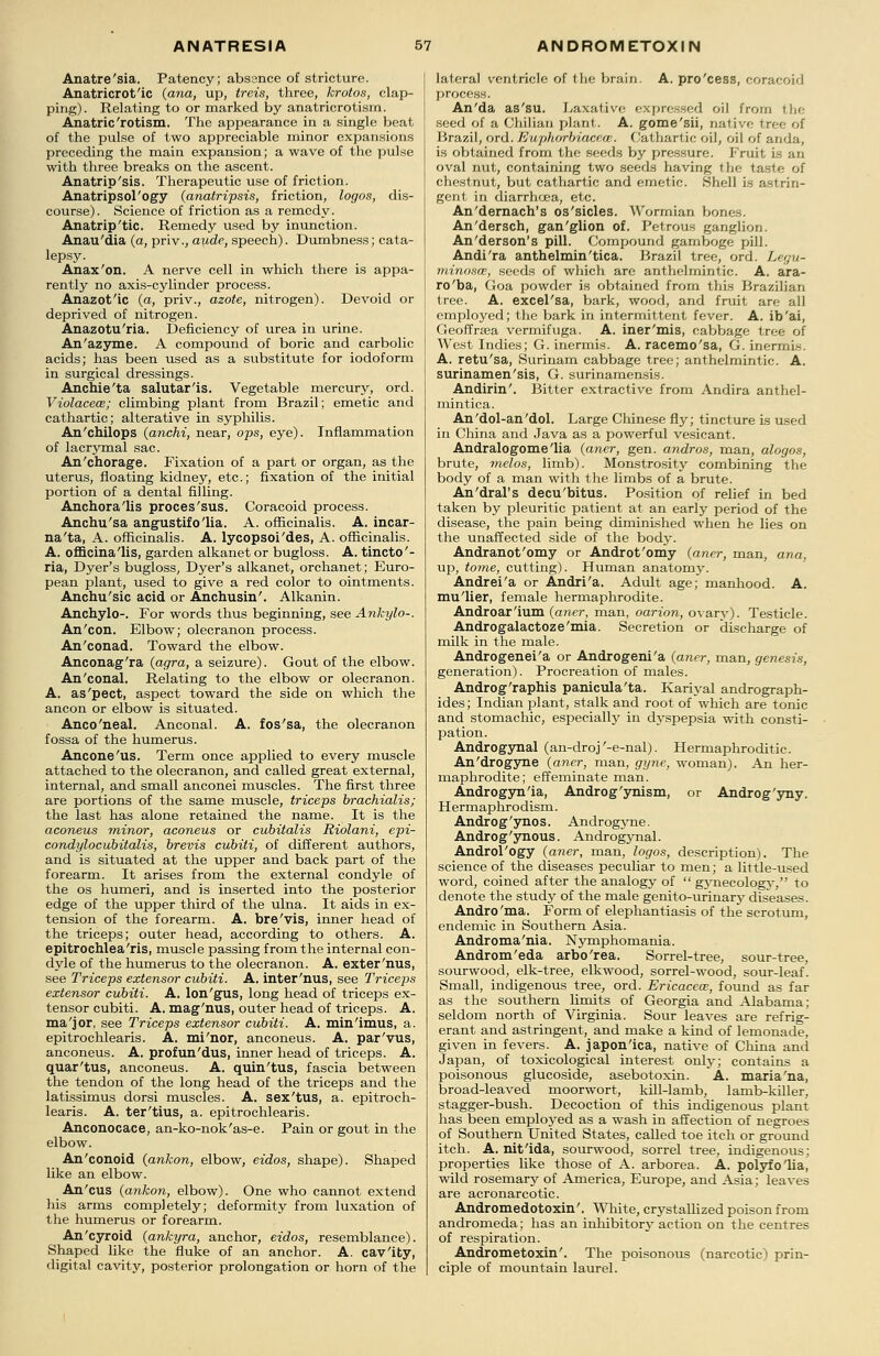 Anatre'sia. Patency; abssnce of stricture. Anatricrot'ic {ana, up, treis, three, krotos, clap- ping). Relating to or marked by anatricrotism. Anatric'rotism. The appearance in a single beat of the pulse of two appreciable minor expansions preceding the main expansion; a wave of the pulse with three breaks on the ascent. Anatrip'sis. Therapeutic use of friction. Anatripsol'ogy (anatripsis, friction, logos, dis- course). Science of friction as a remedy. Anatrip'tic. Remedy used by inunction. Anau'dia (a, priv., aude, speech). Dumbness; cata- lepsy. Anax'on. A nerve cell in which there is appa- rently no axis-cylinder process. Anazot'ic (a, priv., azote, nitrogen). Devoid or deprived of nitrogen. Anazotu'ria. Deficiency of urea in urine. An'azyme. A compound of boric and carbolic acids; has been used as a substitute for iodoform in surgical dressings. Anchie'ta salutar'is. Vegetable mercury, ord. Violacece; climbing plant from Brazil; emetic and cathartic; alterative in syphilis. An'chilops {anchi, near, ops, eye). Inflammation of lacrymal sac. An'chorage. Fixation of a part or organ, as the uterus, floating kidney, etc.; fixation of the initial portion of a dental filling. Anchora'lis proces'sus. Coracoid process. Anchu'sa angustifo'lia. A. officinalis. A. incar- na'ta, A. officinalis. A. lycopsoi'des, A. officinalis. A. officina'lis, garden alkanetor bugloss. A. tincto'- ria, Dyer's bugloss, Dyer's alkanet, orchanet; Euro- pean plant, used to give a red color to ointments. Anchu'sic acid or Anchusin'. Alkanin. Anchylo-. For words thus beginning, see Ankylo-. An'con. Elbow; olecranon process. An'conad. Toward the elbow. Anconag'ra {agra, a seizure). Gout of the elbow. An'conal. Relating to the elbow or olecranon. A. as'pect, aspect toward the side on which the ancon or elbow is situated. Anco'neal. Anconal. A. fos'sa, the olecranon fossa of the humerus. Ancone'us. Term once applied to every muscle attached to the olecranon, and called great external, internal, and small anconei muscles. The first three are portions of the same muscle, triceps brachialis; the last has alone retained the name. It is the aconeus minor, aconeus or cubitalis Riolani, epi- condylocubitalis, brevis cubiti, of different authors, and is situated at the upper and back part of the forearm. It arises from the external condyle of the os humeri, and is inserted into the posterior edge of the upper third of the ulna. It aids in ex- tension of the forearm. A. bre'vis, inner head of the triceps; outer head, according to others. A. epitrochlea'ris, muscle passing from the internal con- dyle of the humerus to the olecranon. A. exter'nus, see Triceps extensor cubiti. A. inter'nus, see Triceps extensor cubiti. A. lon'gus, long head of triceps ex- tensor cubiti. A. mag'nus, outer head of triceps. A. ma'jor, see Triceps extensor cubiti. A. min'imus, a. epitrochlearis. A. mi'nor, anconeus. A. par'vus, anconeus. A. profun'dus, inner head of triceps. A. quar'tus, anconeus. A. quin'tus, fascia between the tendon of the long head of the triceps and the latissimus dorsi muscles. A. sex'tus, a. epitroch- learis. A. ter'tius, a. epitrochlearis. Anconocace, an-ko-nok'as-e. Pain or gout in the elbow. An'conoid {ankon, elbow, eidos, shape). Shaped like an elbow. An'cus {ankon, elbow). One who cannot extend his arms completely; deformity from luxation of the humerus or forearm. An'cyroid {ankyra, anchor, eidos, resemblance). Shaped like the fluke of an anchor. A. cav'ity, digital cavity, posterior prolongation or horn of the lateral ventricle of the brain. A. pro'cess, coracoid process. An'da as'su. Laxative expressed oil from the seed of a Chilian plant. A. gome'sii, native tree of Brazil, ord. Euphorbiaceae. Cathartic oil, oil of anda, is obtained from the seeds by pressure. Fruit is an oval nut, containing two seeds having the tastr? of chestnut, but cathartic and emetic. Shell is astrin- gent in diarrhoea, etc. An'dernach's os'sicles. Wormian bones. An'dersch, gan'glion of. Petrous ganglion. An'derson's pill. Compound gamboge pill. Andi'ra anthelmin'tica. Brazil tree, ord. Legu- minosae, seeds of which are anthelmintic. A. ara- ro'ba, Goa powder is obtained from this Brazilian tree. A. excel'sa, bark, wood, and fruit are all employed; the bark in intermittent fever. A. ib'ai, Geoffrsea vermifuga. A. iner'mis, cabbage tree of West Indies; G. inermis. A. racemo'sa, G. inermis. A. retu'sa, Surinam cabbage tree; anthelmintic. A. surinamen'sis, G. surinamensis. Andirin'. Bitter extractive from Andira anthel- mintica. An'dol-an'dol. Large Chinese fly; tincture is used in China and Java as a powerful vesicant. Andralogome'lia {aner, gen. andros, man, alogos, brute, melos, limb). Monstrosity combining the body of a man with the limbs of a brute. An'dral's decu'bitus. Position of relief in bed taken by pleuritic patient at an early period of the disease, the pain being diminished when he lies on the unaffected side of the body. Andranot'omy or Androt'omy {aner, man, ana, up, tome, cutting). Human anatomy. Andrei'a or Andri'a. Adult age; manhood. A. mu'lier, female hermaphrodite. Androar'ium {aner, man, oarion, ovary). Testicle. Androgalactoze'mia. Secretion or discharge of milk in the male. Androgenei'a or Androgeni'a {aner, man, genesis, generation). Procreation of males. Androg'raphis panicula'ta. Kariyal andrograph- ides; Indian plant, stalk and root of which are tonic and stomachic, especially in dyspepsia with consti- pation. Androgynal (an-droj'-e-nal). Hermaphroditic. An'drogyne {aner, man, gyne, woman). An her- maphrodite; effeminate man. Androgyn'ia, Androg'ynism, or Androg'yny. Hermaphrodism. Androg'ynos. Androgyne. Androg'ynous. Androgynal. Androl'ogy {aner, man, logos, description). The science of the diseases peculiar to men; a little-used word, coined after the analogy of  gynecology-, to denote the study of the male genito-urinary diseases. Andro'ma. Form of elephantiasis of the scrotum, endemic in Southern Asia. Androma'nia. Nymphomania. Androm'eda arbo'rea. Sorrel-tree, sour-tree, sourwood, elk-tree, elkwood, sorrel-wood, sour-leaf. Small, indigenous tree, ord. Ericacece, found as far as the southern limits of Georgia and Alabama; seldom north of Virginia. Sour leaves are refrig- erant and astringent, and make a kind of lemonade, given in fevers. A. japon'ica, native of China and Japan, of toxicological interest only; contains a poisonous glucoside, asebotoxin. A. maria'na, broad-leaved moorwort, kill-lamb, lamb-killer, stagger-bush. Decoction of this indigenous plant has been employed as a wash in affection of negroes of Southern United States, called toe itch or ground itch. A. nit'ida, sourwood, sorrel tree, indigenous; properties like those of A. arborea. A. polyfo'lia, wild rosemary of America, Europe, and Asia; leaves are acronarcotic. Andromedotoxin'. White, crystallized poison from andromeda; has an inhibitor}' action on the centres of respiration. Andrometoxin'. The poisonous (narcotic) prin- ciple of mountain laurel.