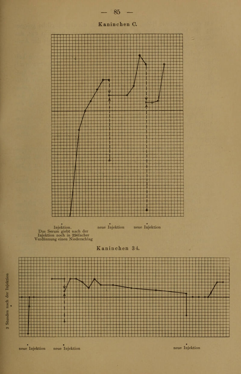 Kaninchen C. i r g Injektion. neue Injektion neue Injektion Das Serum giebt nach der Injektion noch in 256facher Verdünnung einen Niederschlag Kaninchen 34 SS II neue Injektion neue Injektion neue Injektion